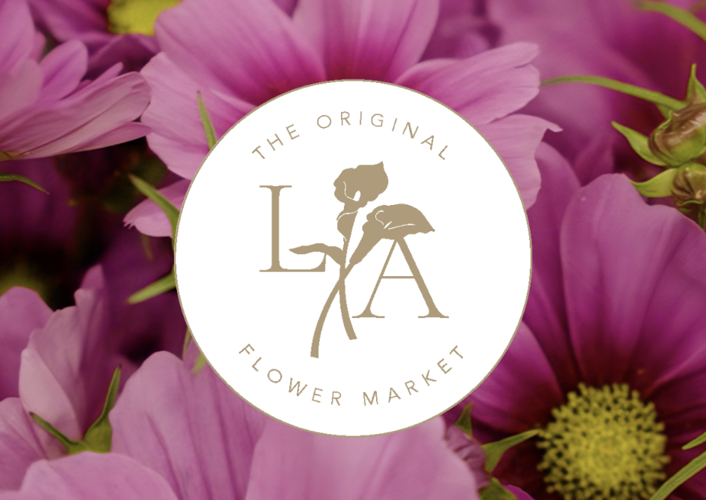 Screenshot 2026-03-18 at 9.23.34 PM.png