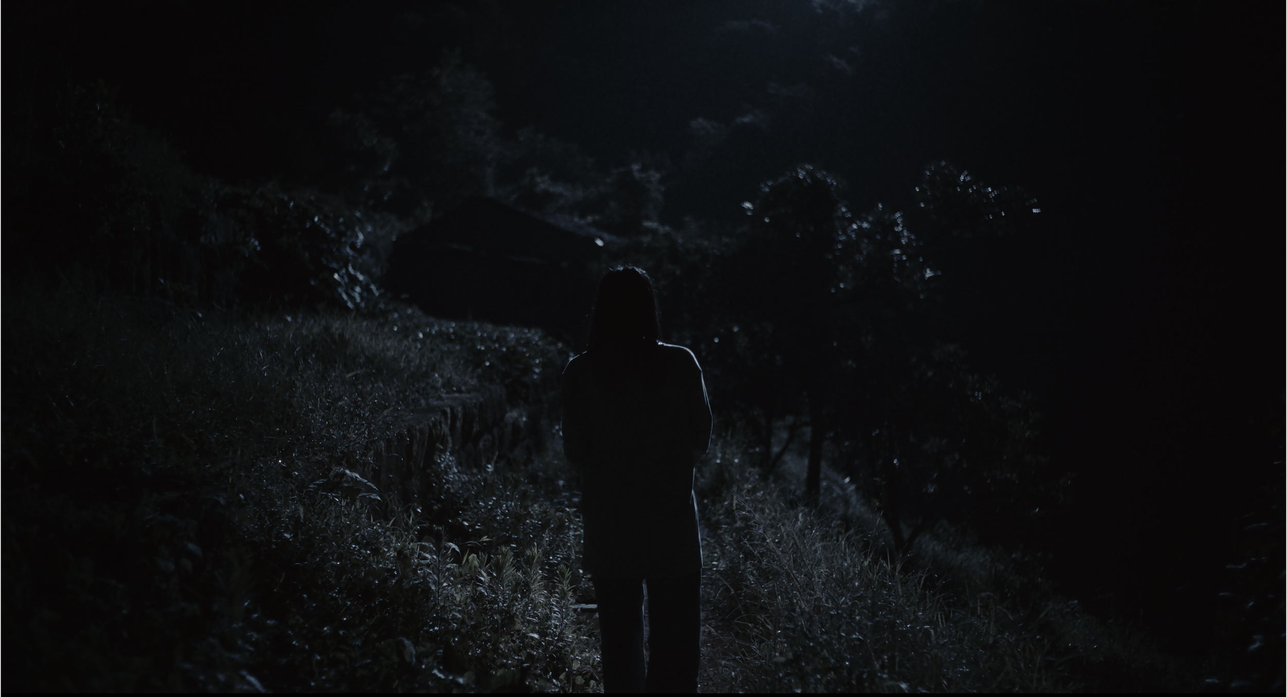 Highway_Publicity_Stills__0041_Boss_Li_Towards_Hut_0041.png