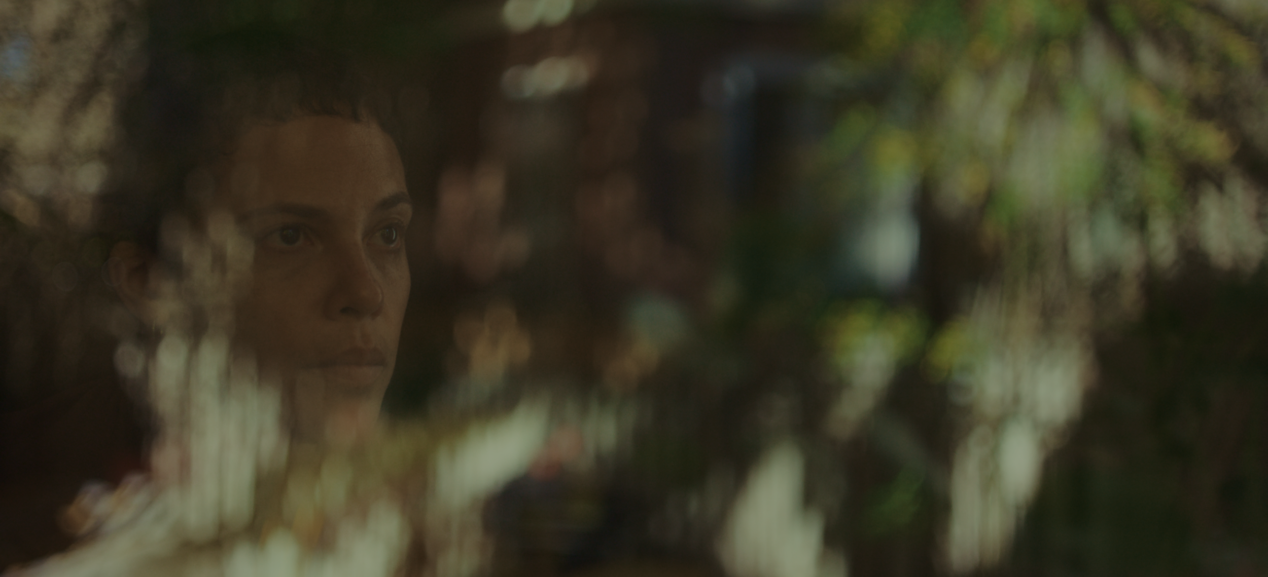 ApprovedFestivalStill3.png