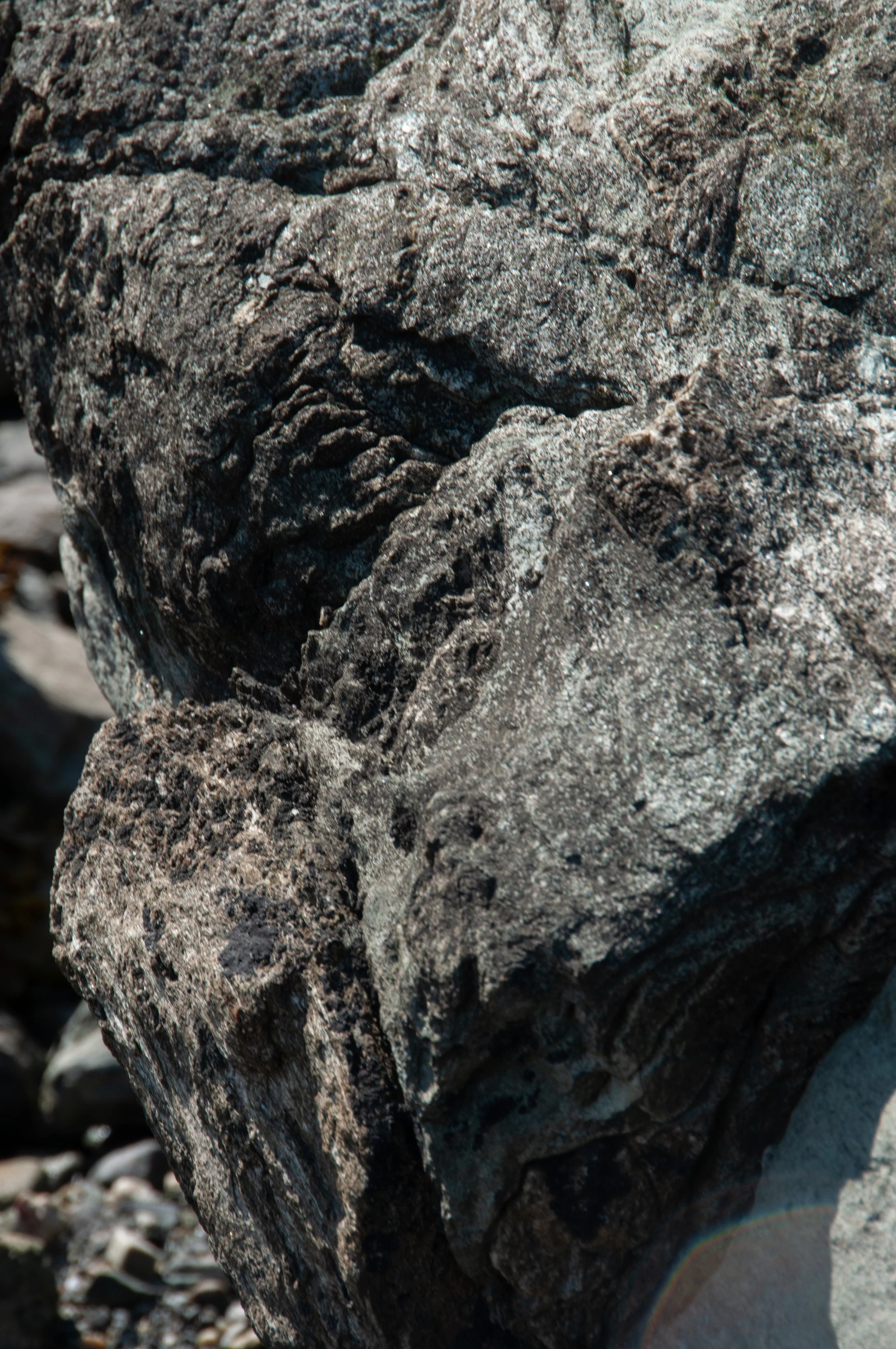 Close-up of rough, textured gray rocks on a beach.