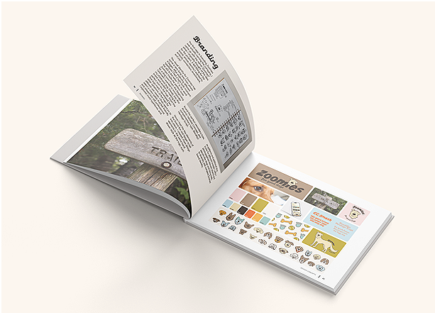 Zoomies | Thesis Project