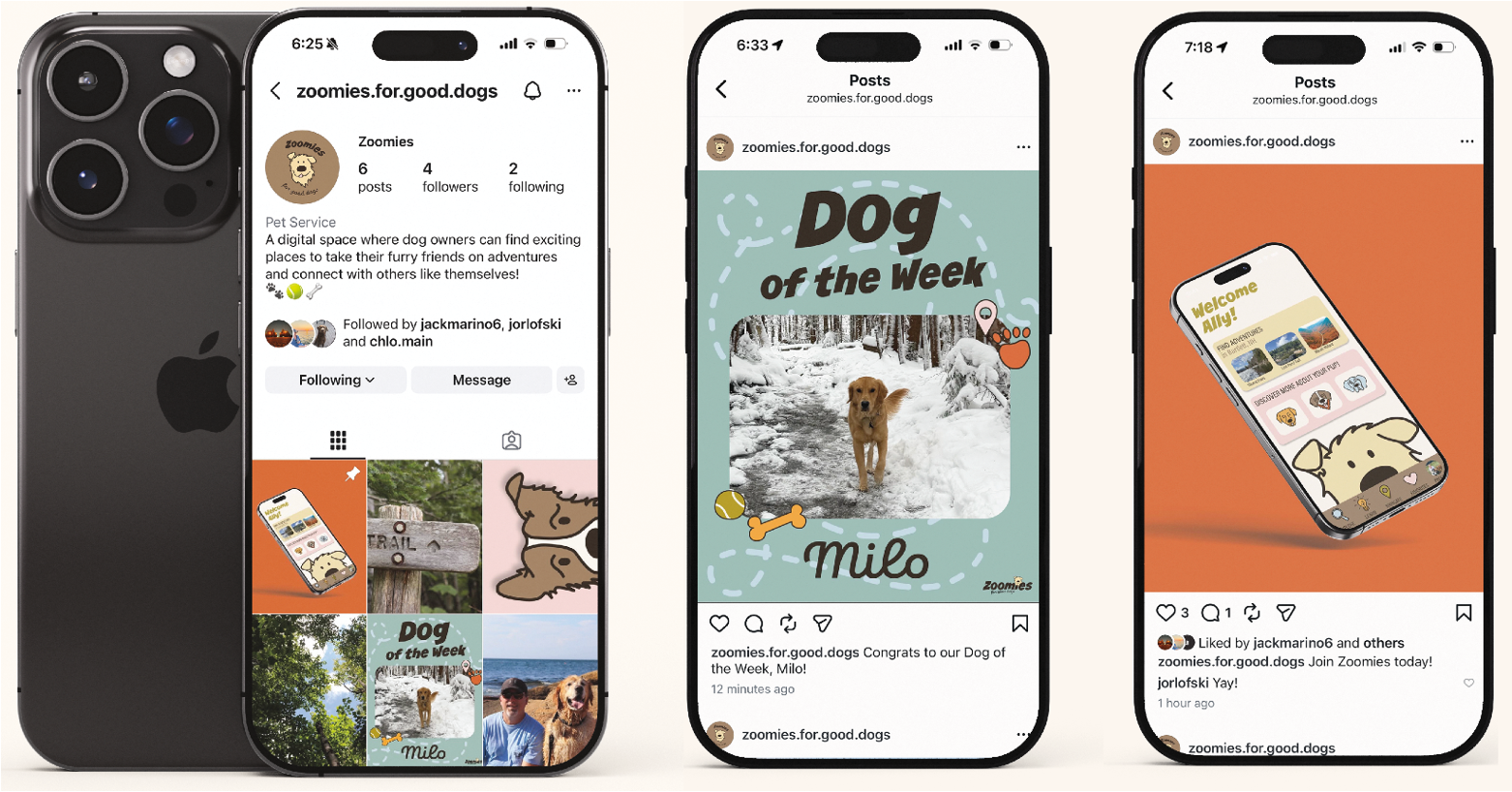 Social Media Presence 