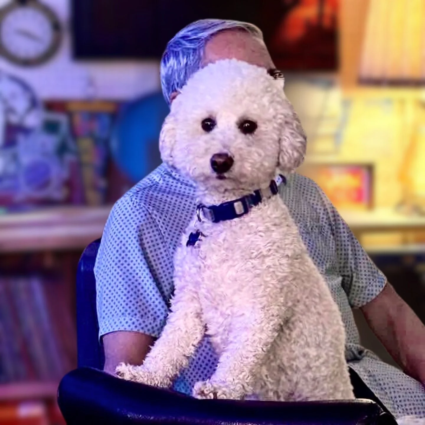 Dwayne wearing a checkered shirt sitting on a chair with Larry, his white curly-haired dog on his lap in a garage bar.