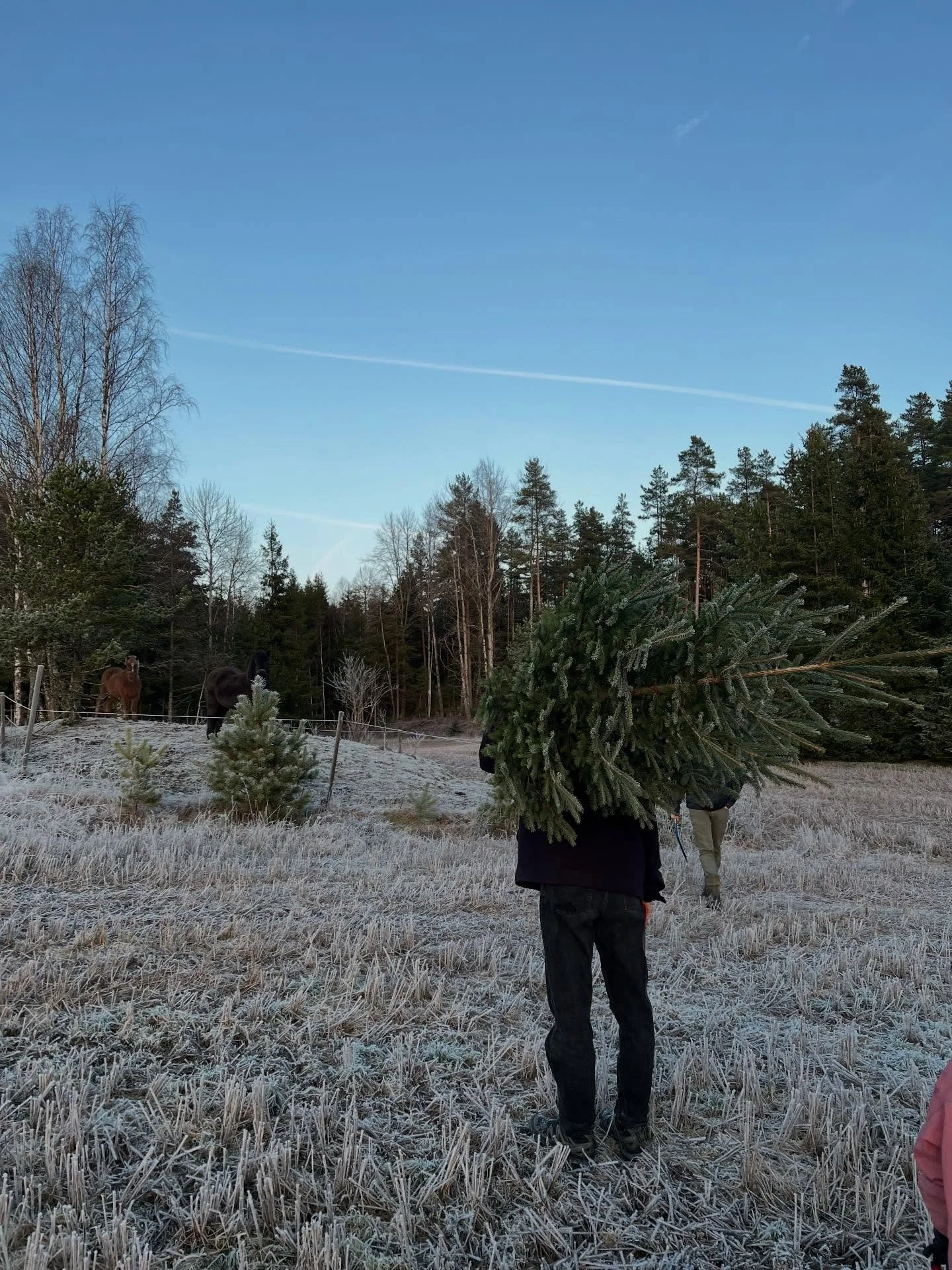 Jula 25🎄