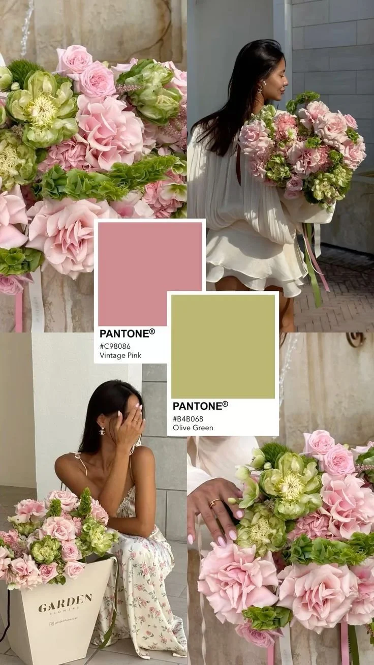 Brand Presentation, Marketing & Growth Support