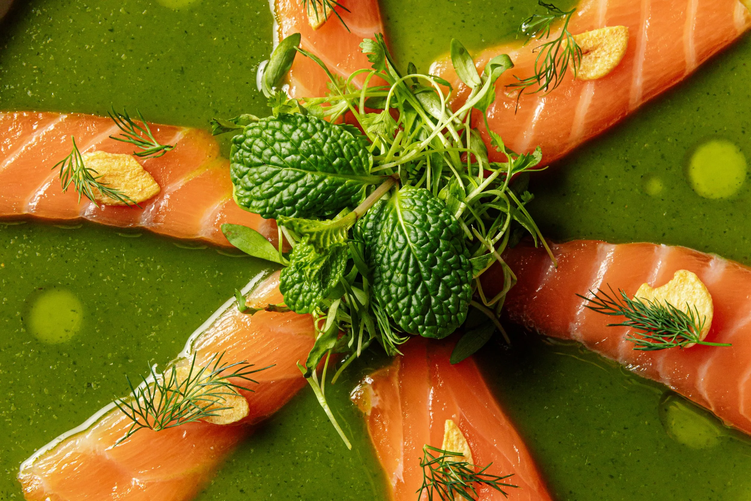 Pink salmon sashimi on top of green citrus chili dressing.