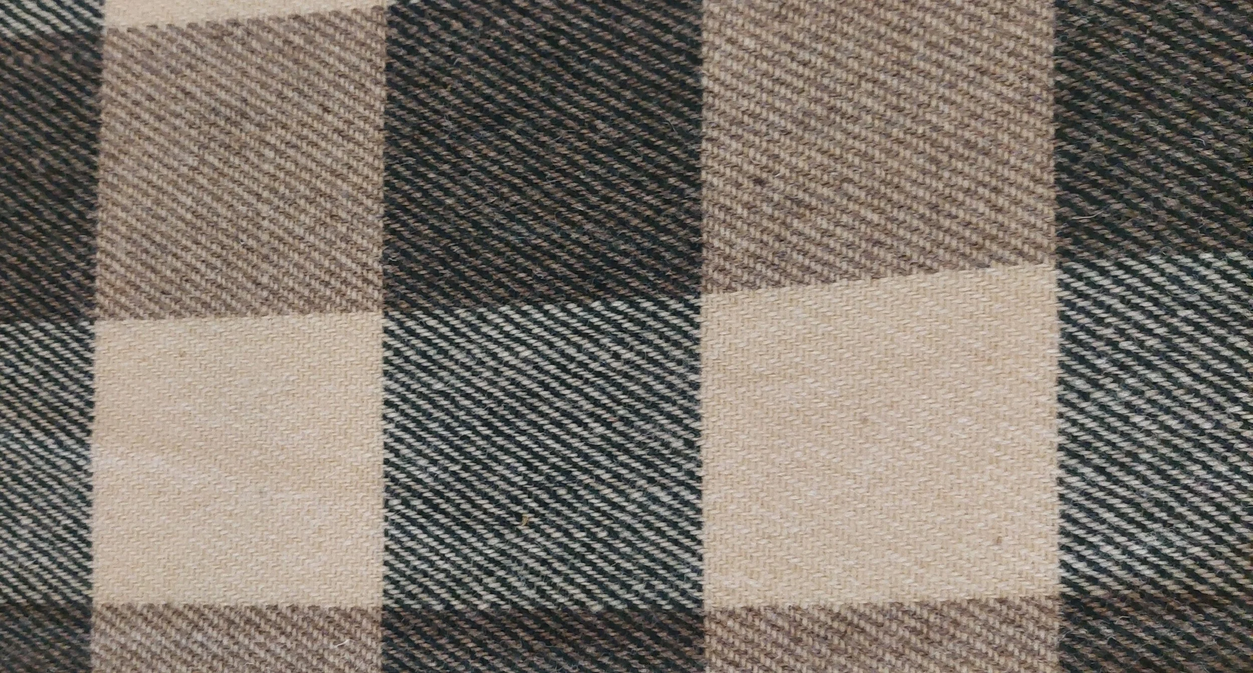 FORESTWHITEWEAVE.jpg