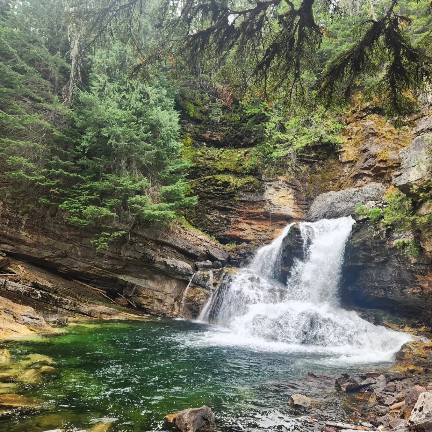 Goodbye August, Hello September!

We are moving in 17 days to Ucluelet (woot woot!), and amidst the chaos of packing, we were able to hang out with our beloved friends and enjoy some fun adventures. It's a bittersweet feeling for sure 🩷

Harvest sea