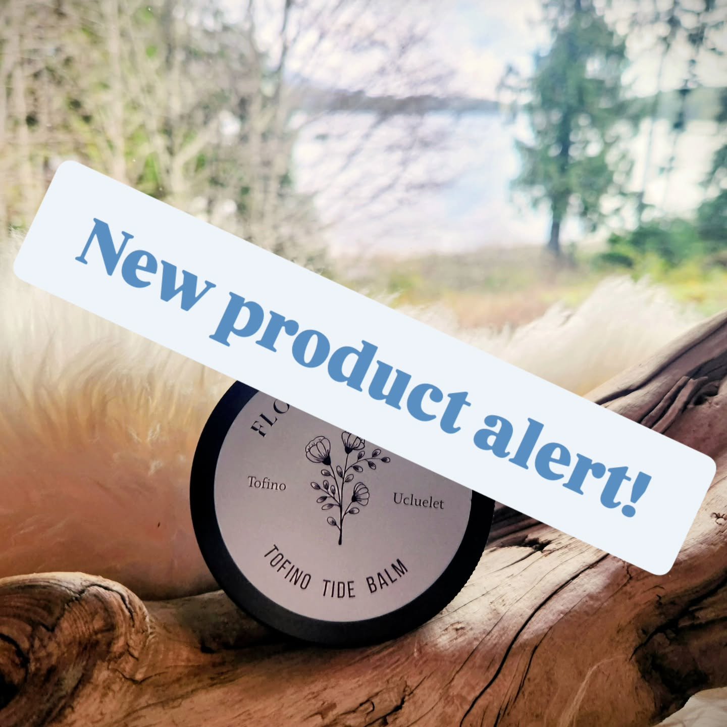 Introducing the Tofino Tide Balm ✨️ 

A special blend powered by botanicals to help hydrate your skin by improving its moisture barrier, while offering calming and anti-inflammatory properties. 

This balm is perfect for those who spend time in the c