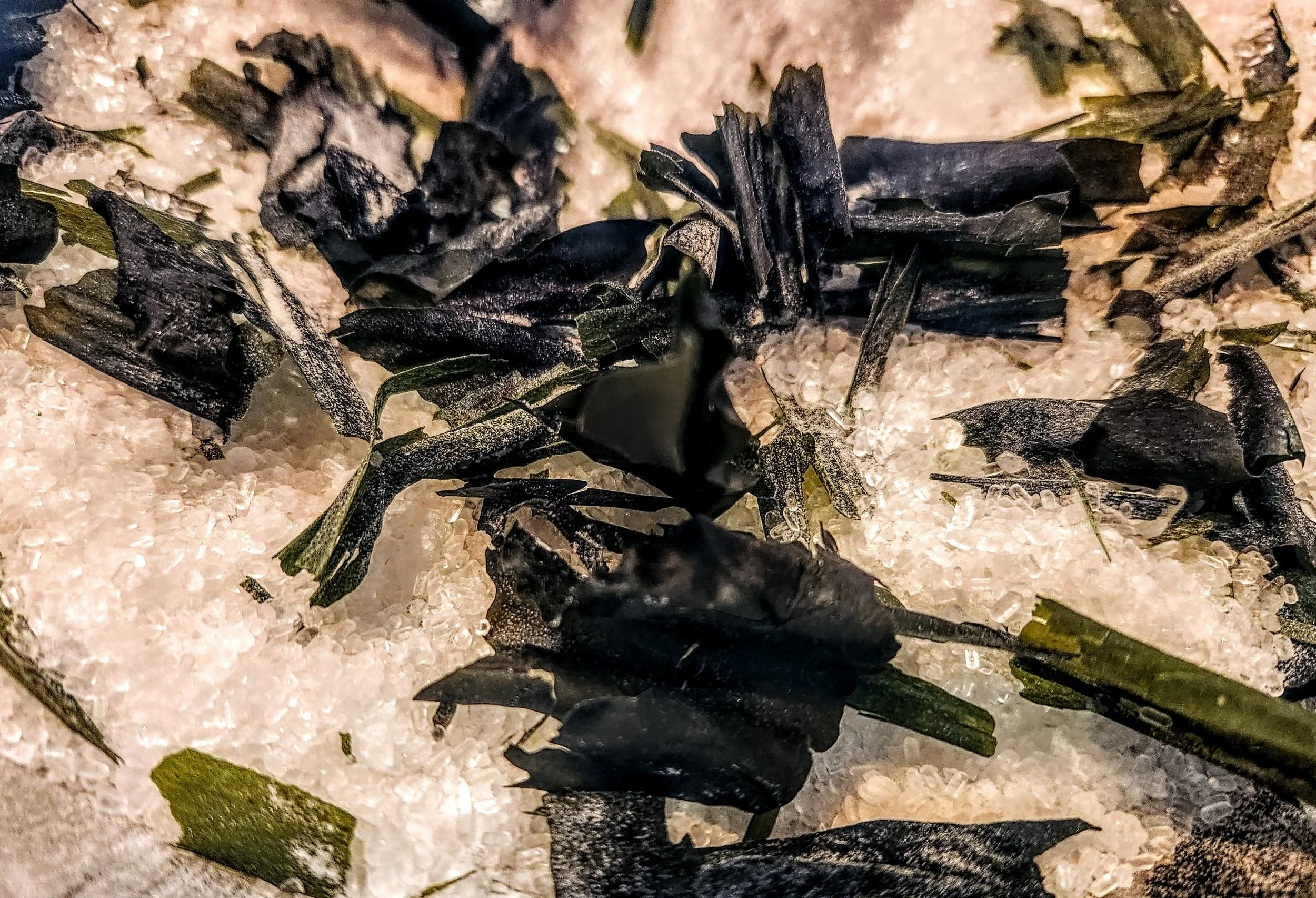 Seaweed Salt.jpg