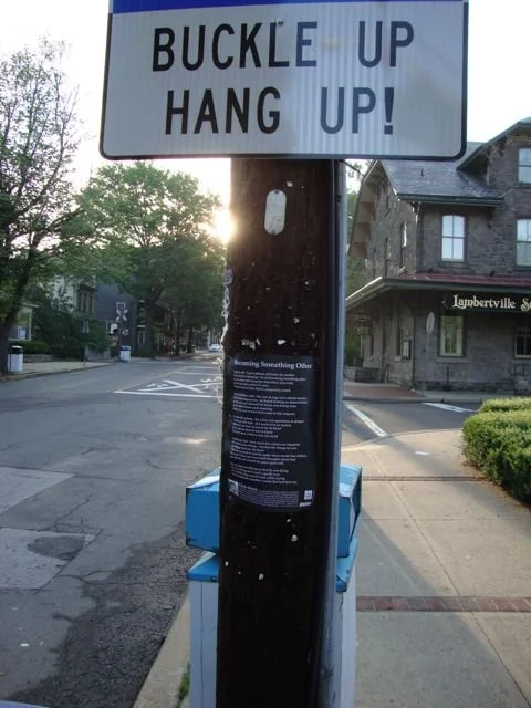 June 11, 2010.         Diary of a Billsticker – Lambertville, New Jersey, USA