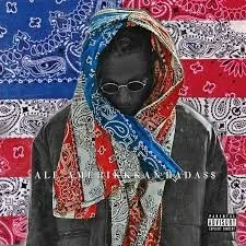 ALL-AMERIKKKAN BADA$$: 