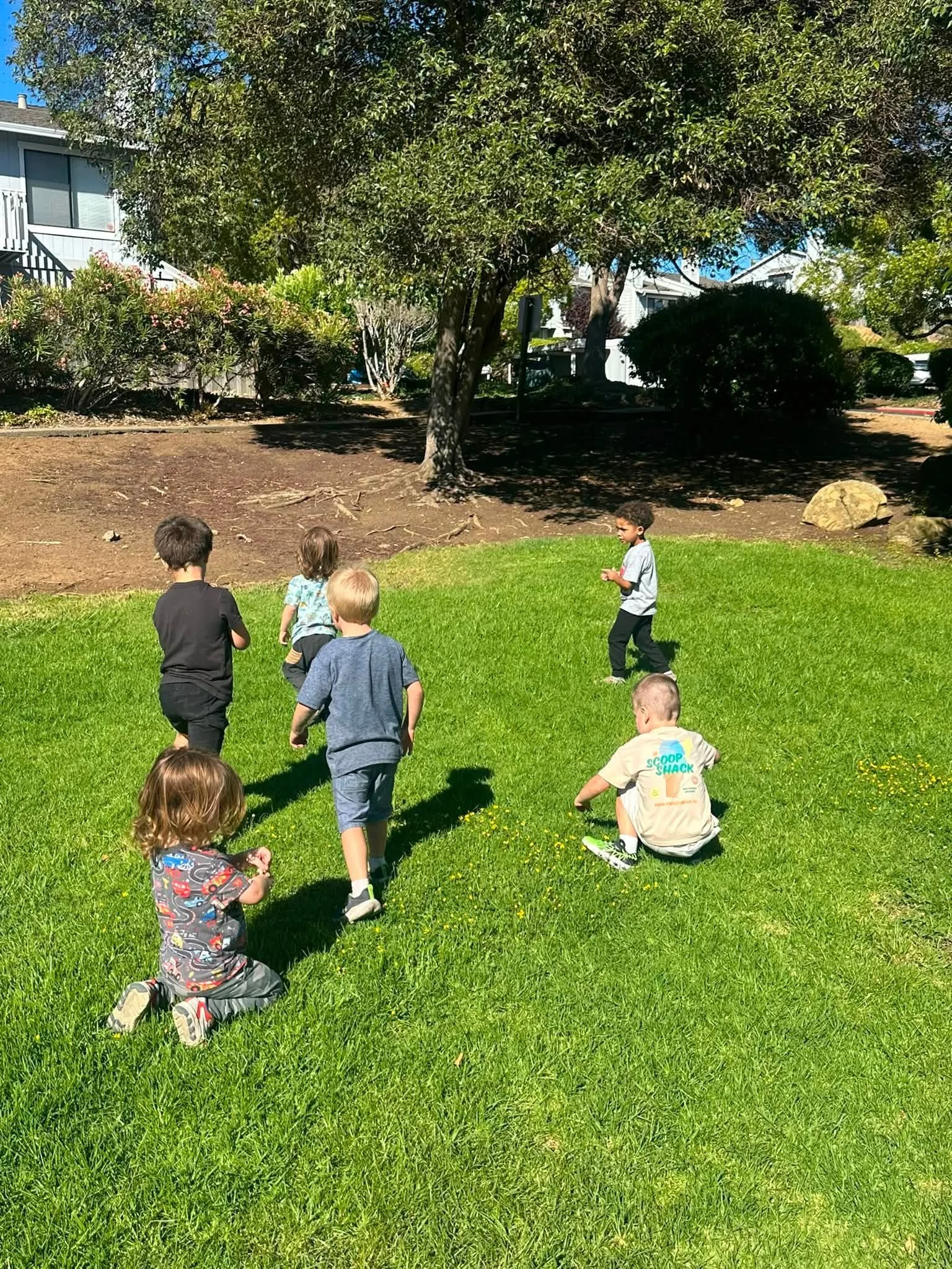 A group of children playing on a grassy lawn under a large tree with house and shrubbery in the background.