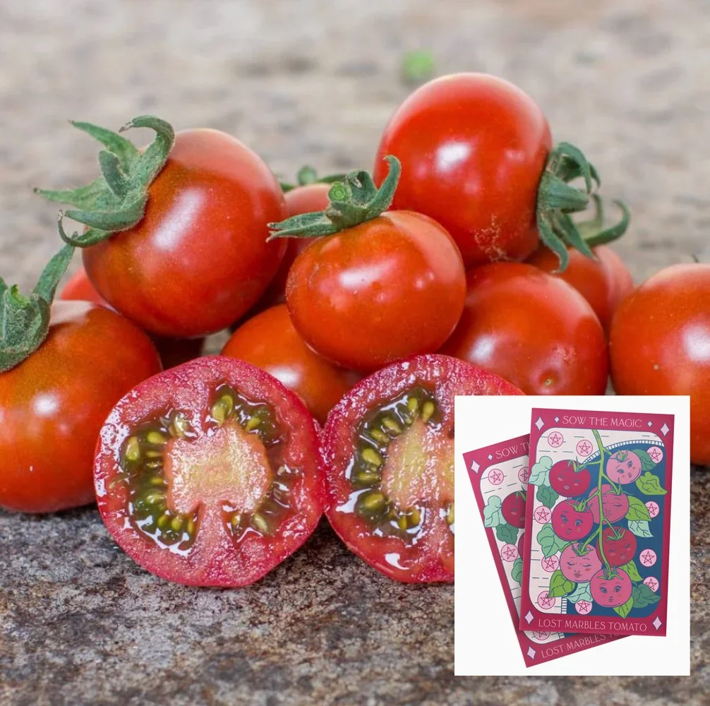 lost-marbles-tomatoes.jpg
