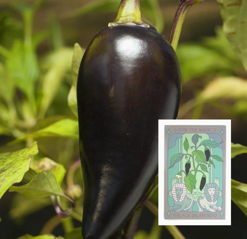 black-jalepeno.jpg