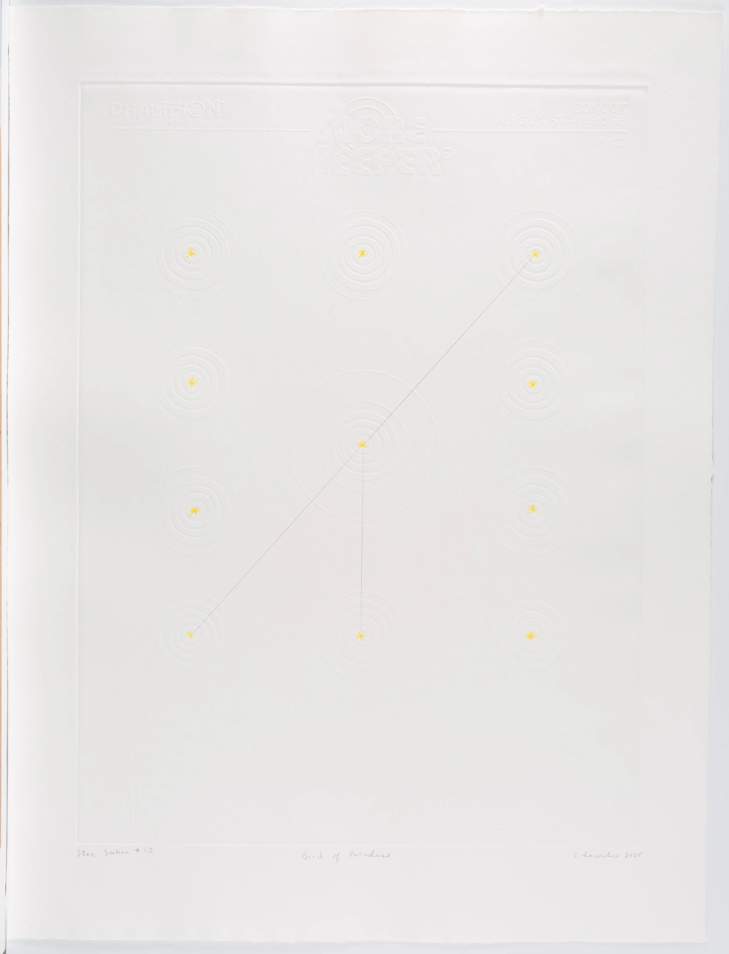 Lacouture_StarSeeker12.jpg