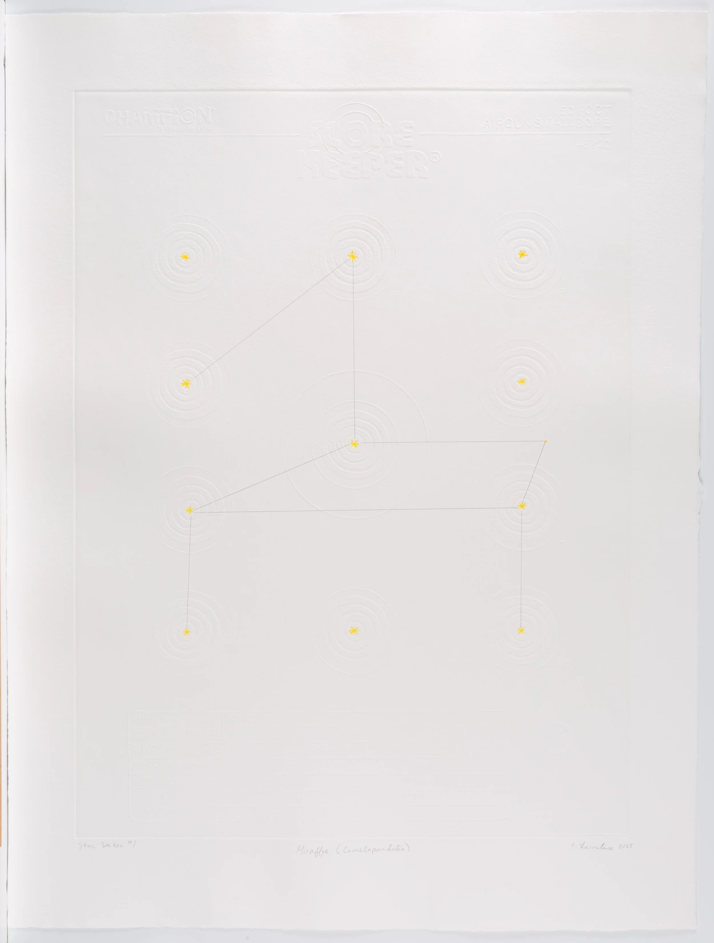 Lacouture_StarSeeker1.jpg