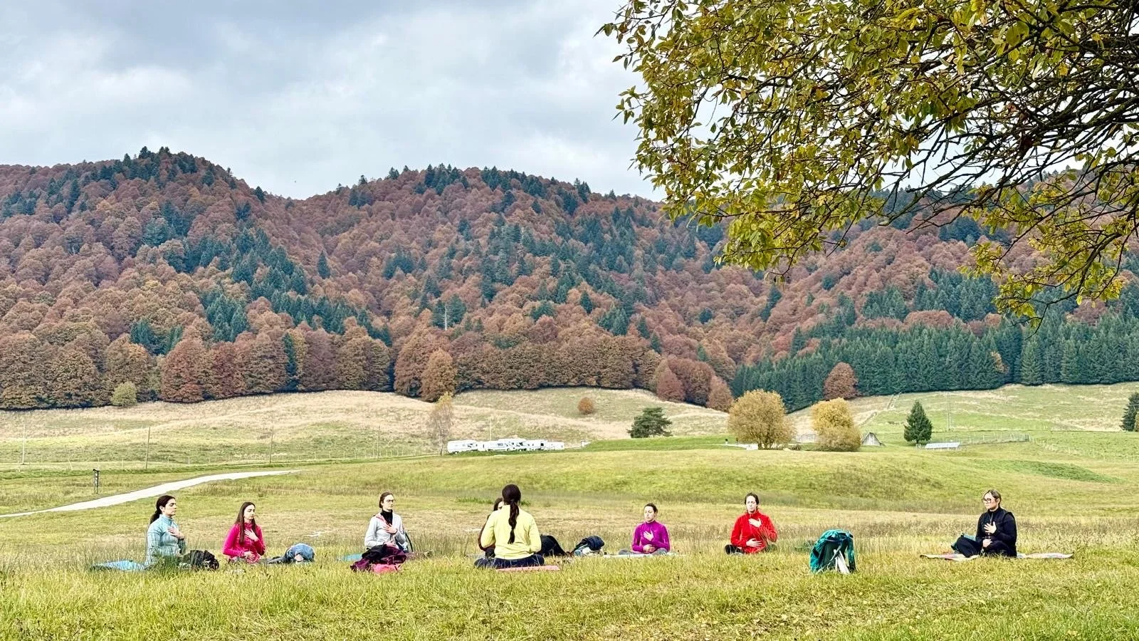 Gruppo di persone sedute in cerchio sulla natura in un campo, con montagne e alberi autunnali sullo sfondo.