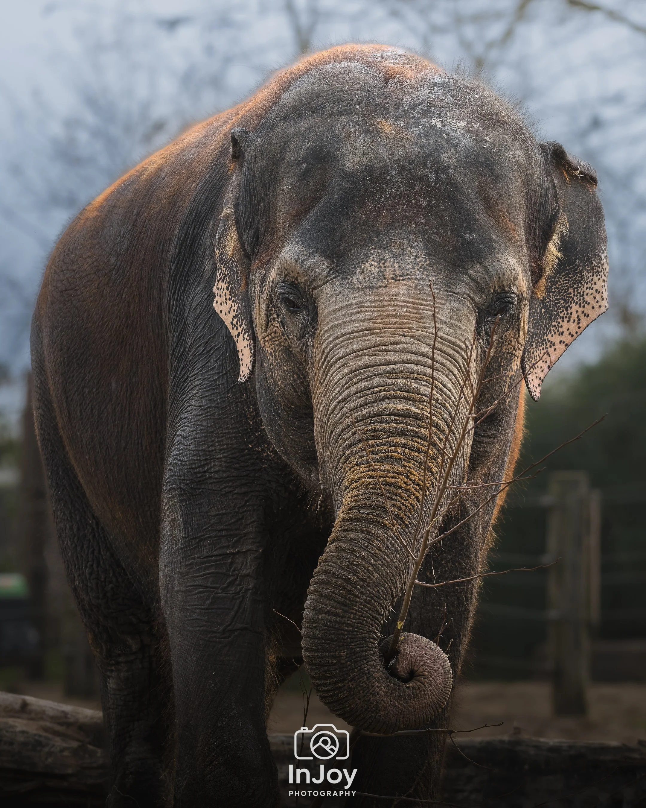 JOR_0924-DxO_DeepPRIME 3.jpg