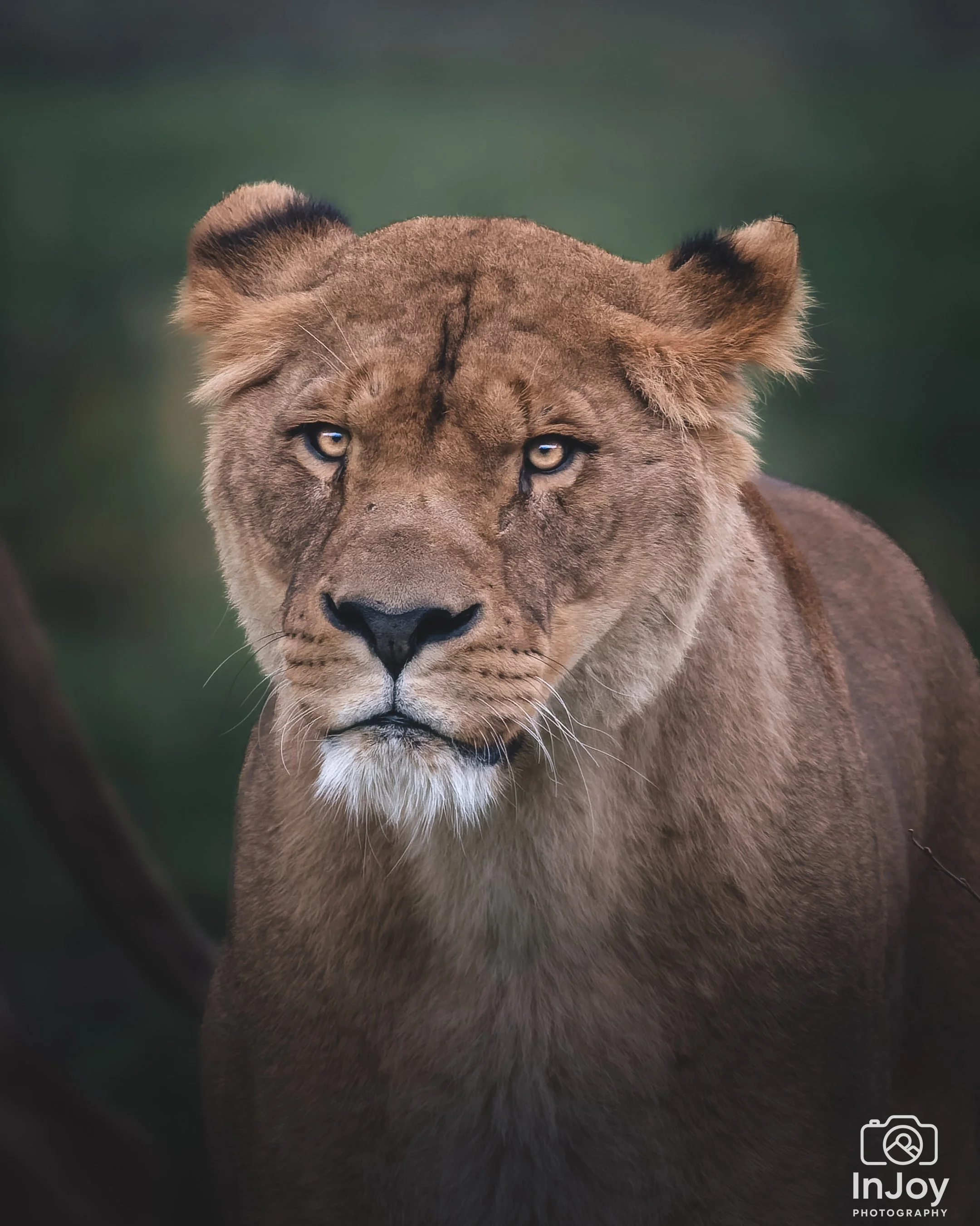 JOR_0847-DxO_DeepPRIME 3-2.jpg