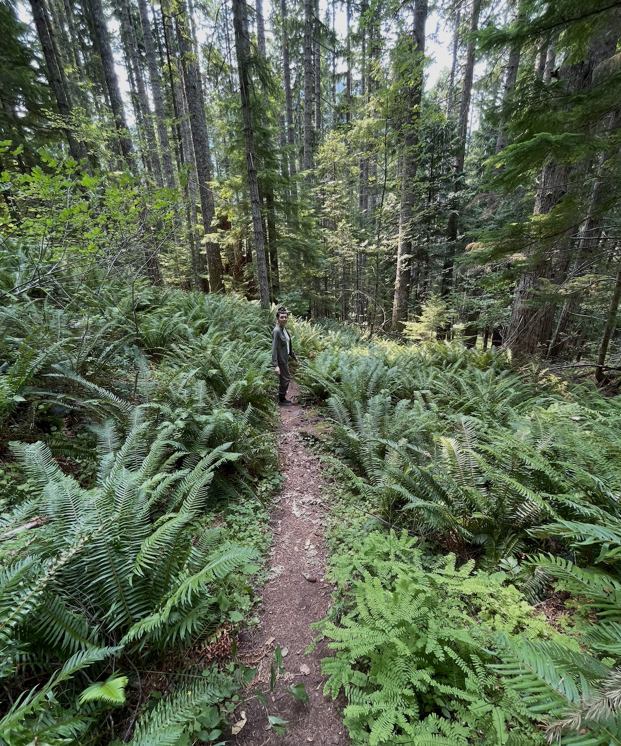 Ashley in Olympic Forest