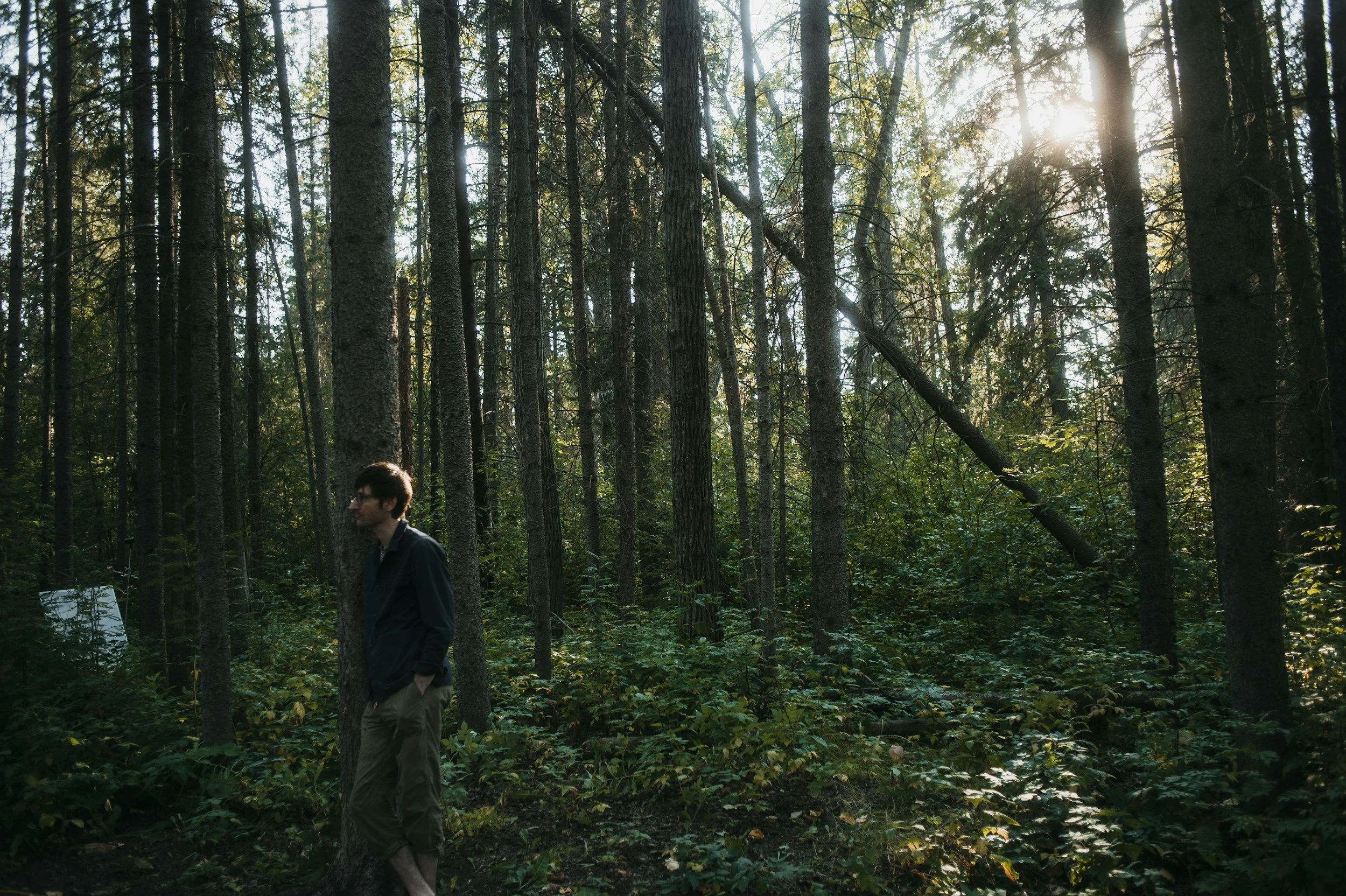 A person standing alone in a dense forest with sunlight shining through the trees.