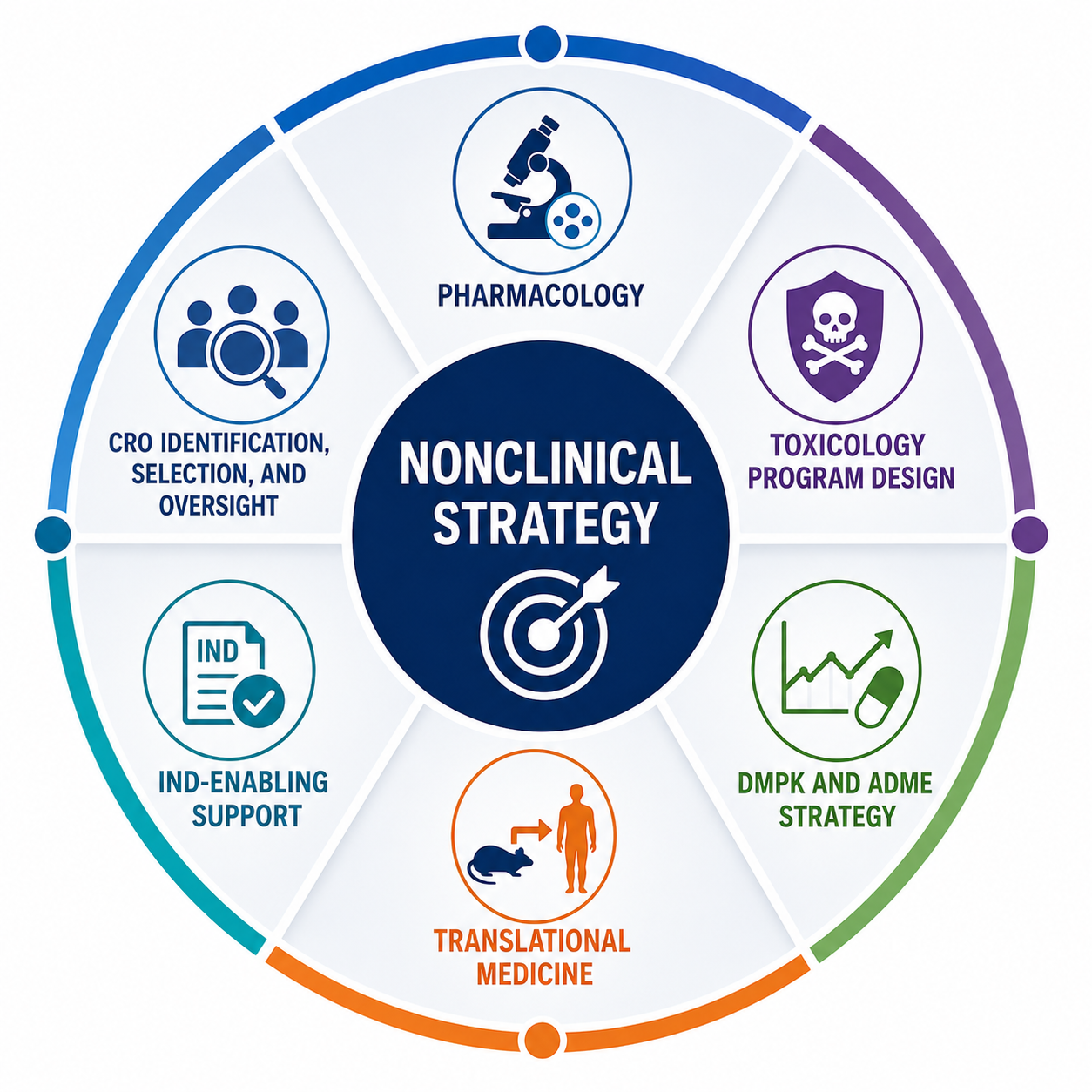 Nonclinical Development Strategy