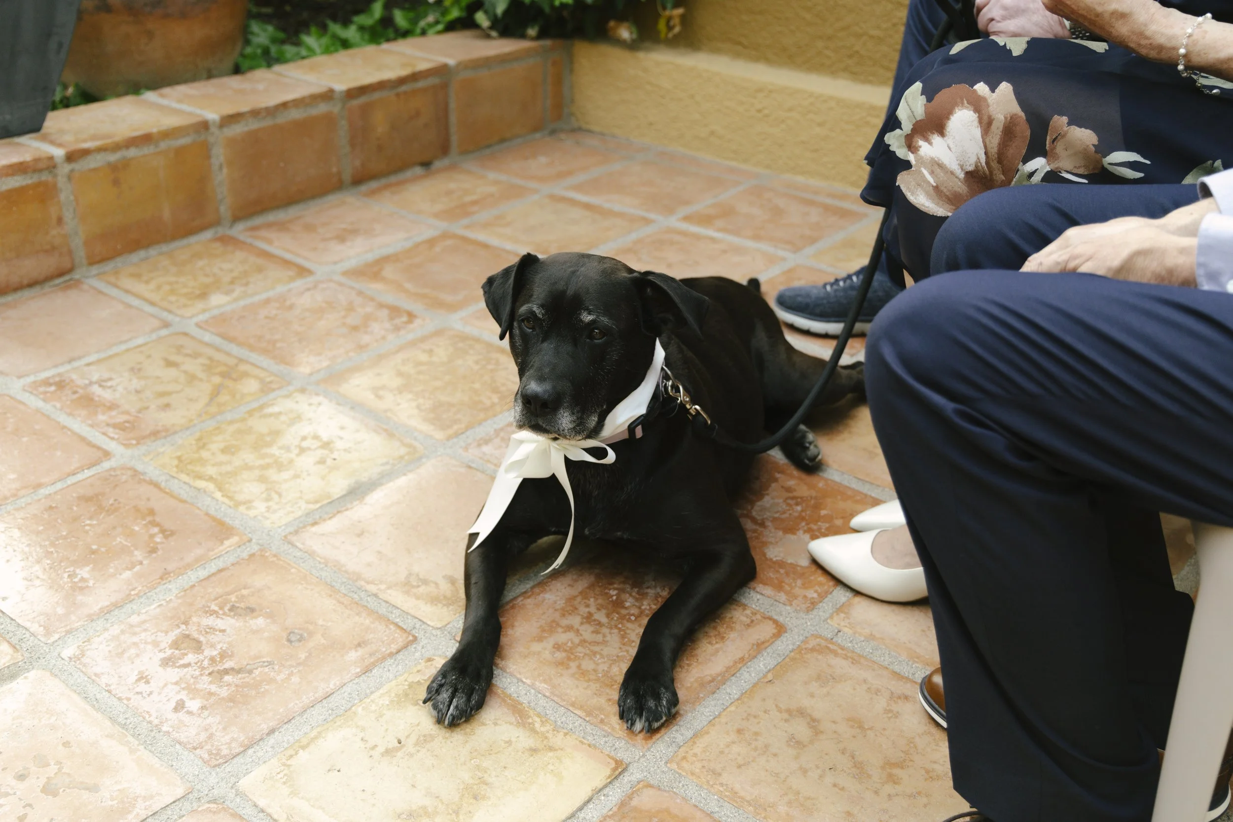 Chelsea and Travis exchanged heartfelt vows during their intimate Sedona elopement at a private Arizona home, surrounded by their closest family, friends, and beloved dog. Their outdoor ceremony was filled with meaningful moments, personal vows, and 