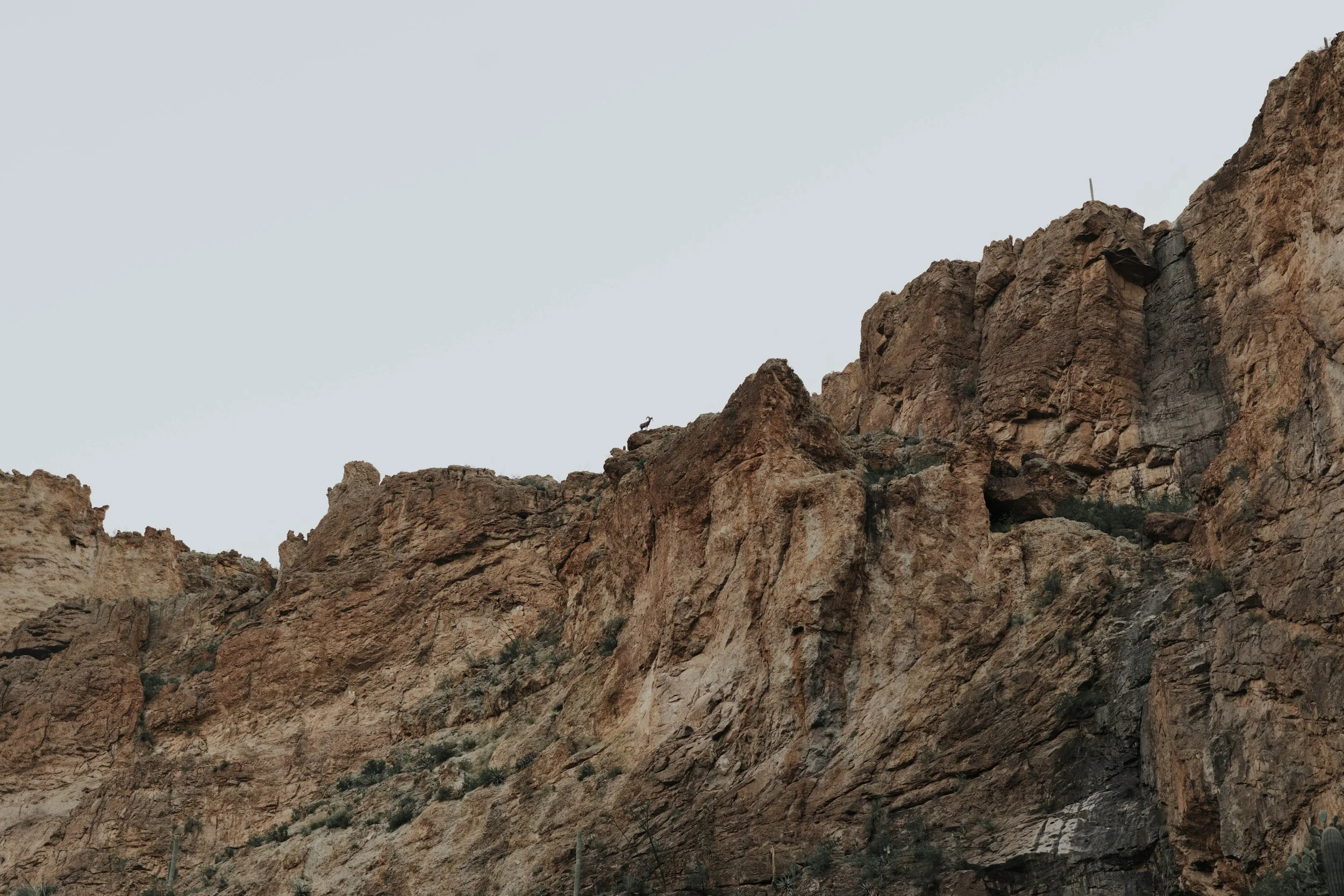 As the sun began to set over Canyon Lake, the couple stepped onto the deck of the Dolly Steamboat for golden hour portraits. With warm Arizona light reflecting off the water and desert mountains surrounding them, these quiet moments captured the beau