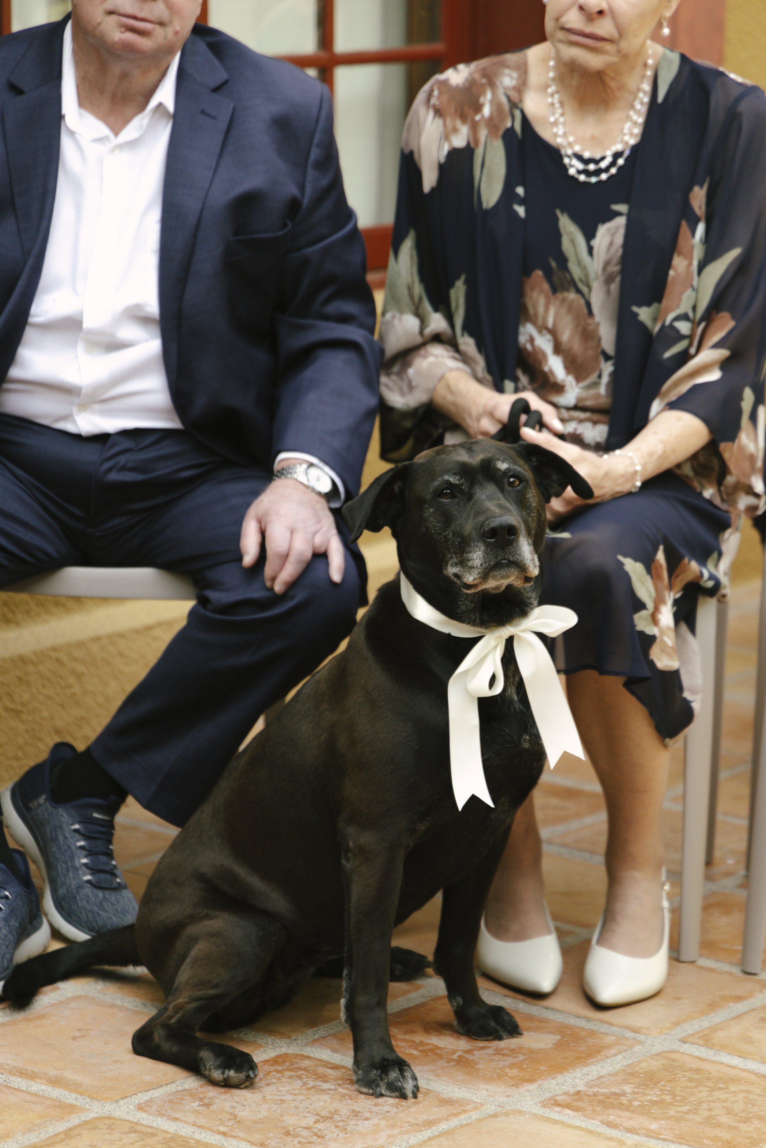 Chelsea and Travis exchanged heartfelt vows during their intimate Sedona elopement at a private Arizona home, surrounded by their closest family, friends, and beloved dog. Their outdoor ceremony was filled with meaningful moments, personal vows, and 