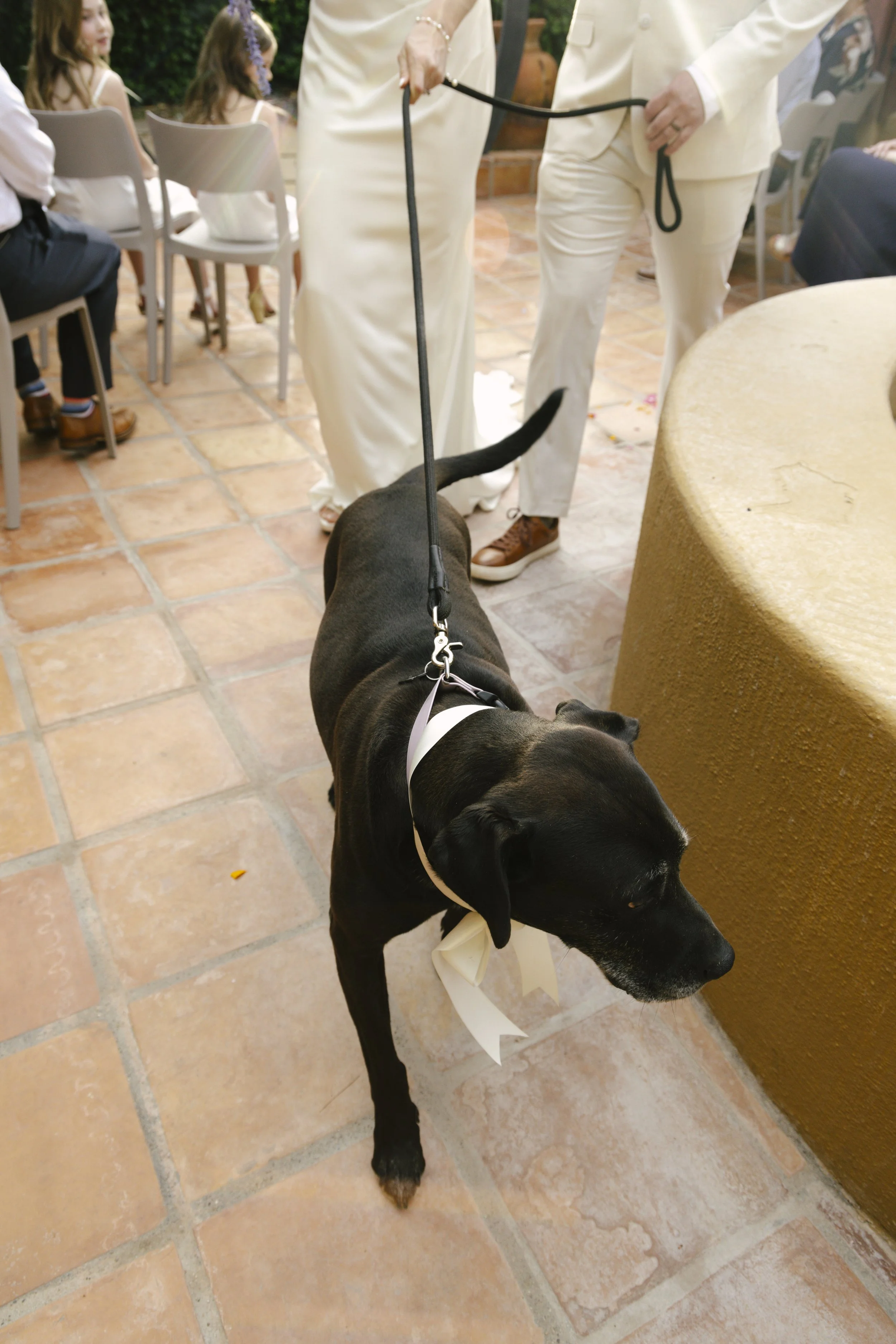 Chelsea and Travis exchanged heartfelt vows during their intimate Sedona elopement at a private Arizona home, surrounded by their closest family, friends, and beloved dog. Their outdoor ceremony was filled with meaningful moments, personal vows, and 