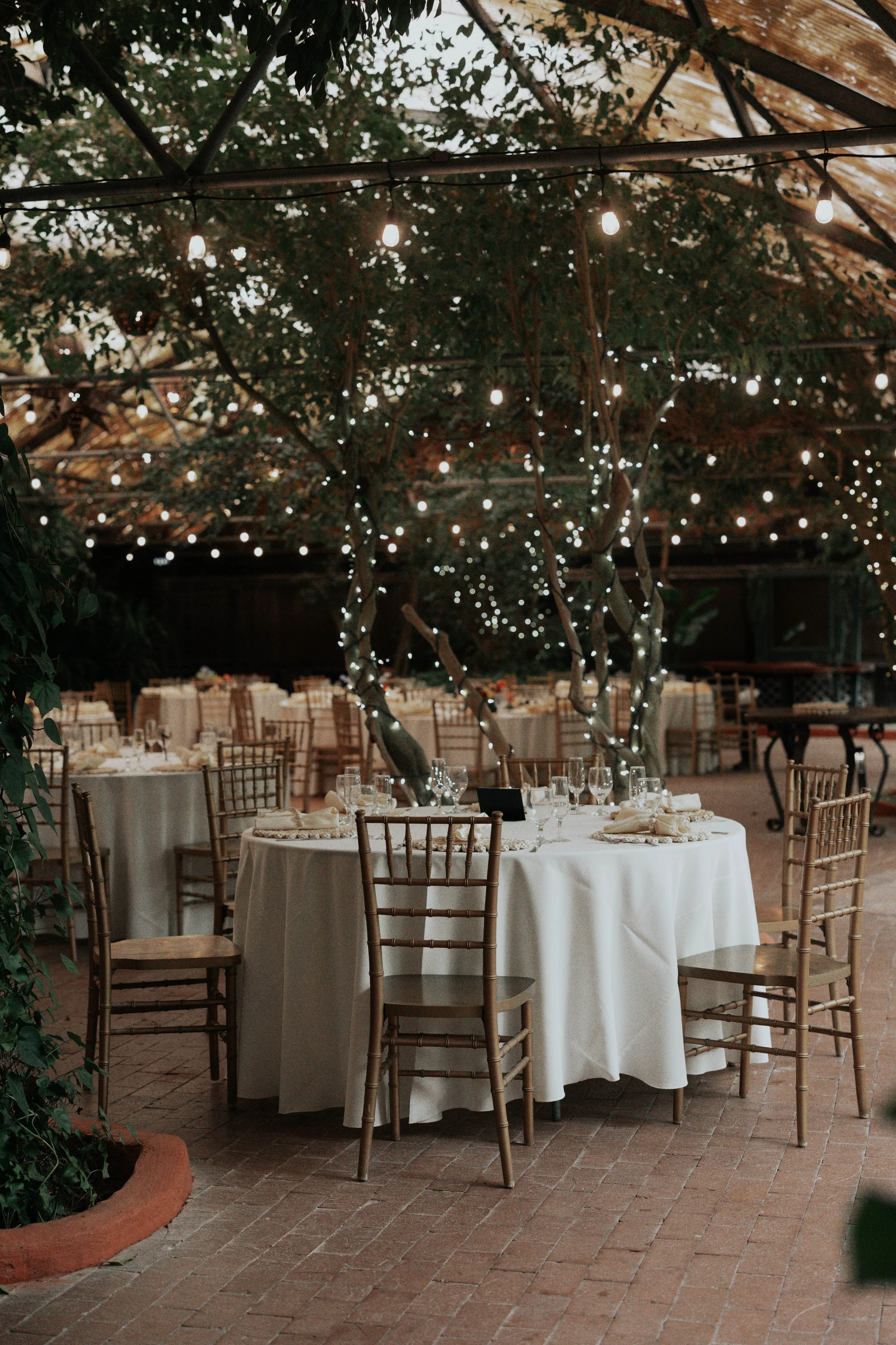 The Boojum Tree’s lush garden setting created a stunning backdrop for Lauren and Joel’s wedding day in Phoenix. From colorful floral arrangements to the candlelit reception space beneath the trees, every detail reflected the romantic and natural atmo