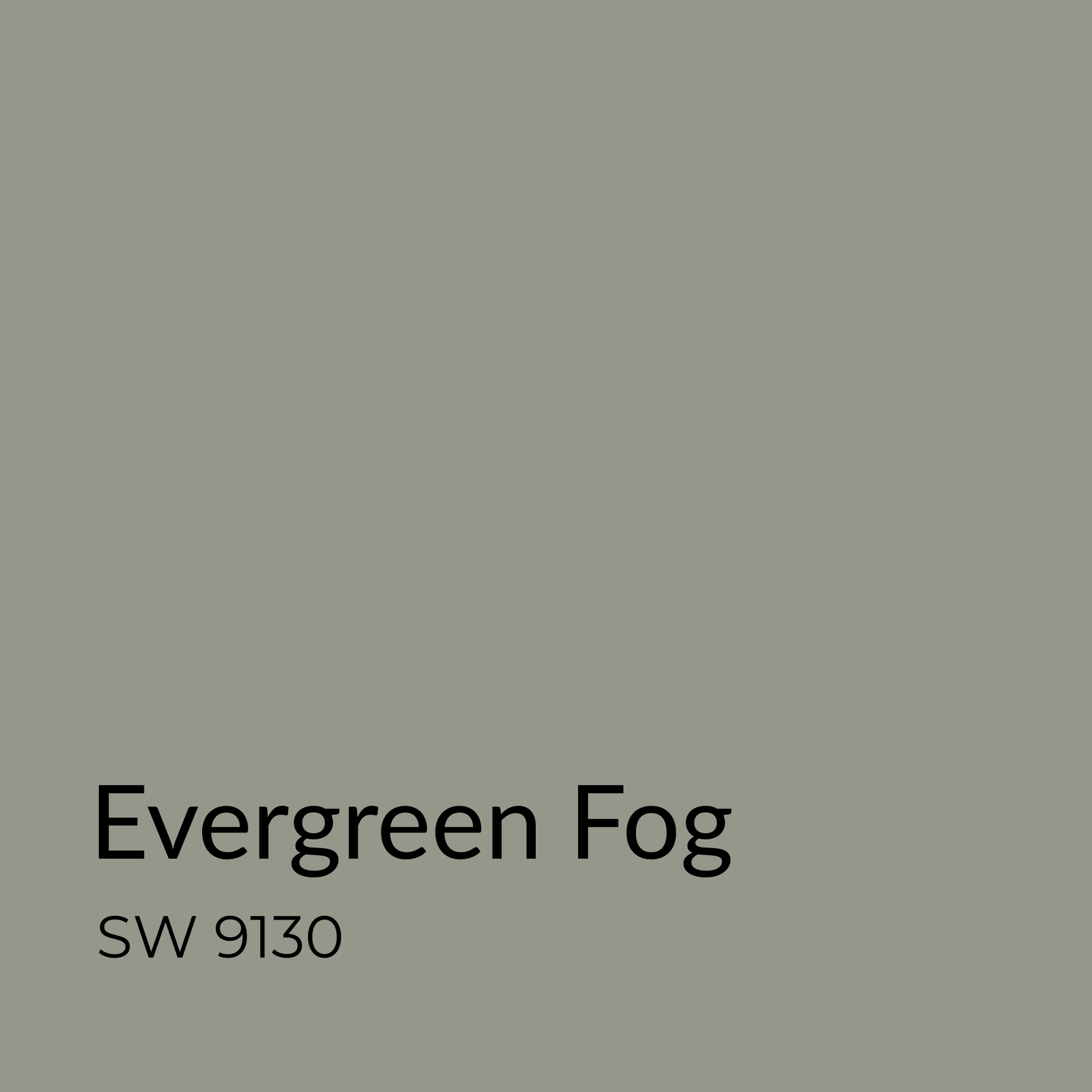 Evergreen Fog