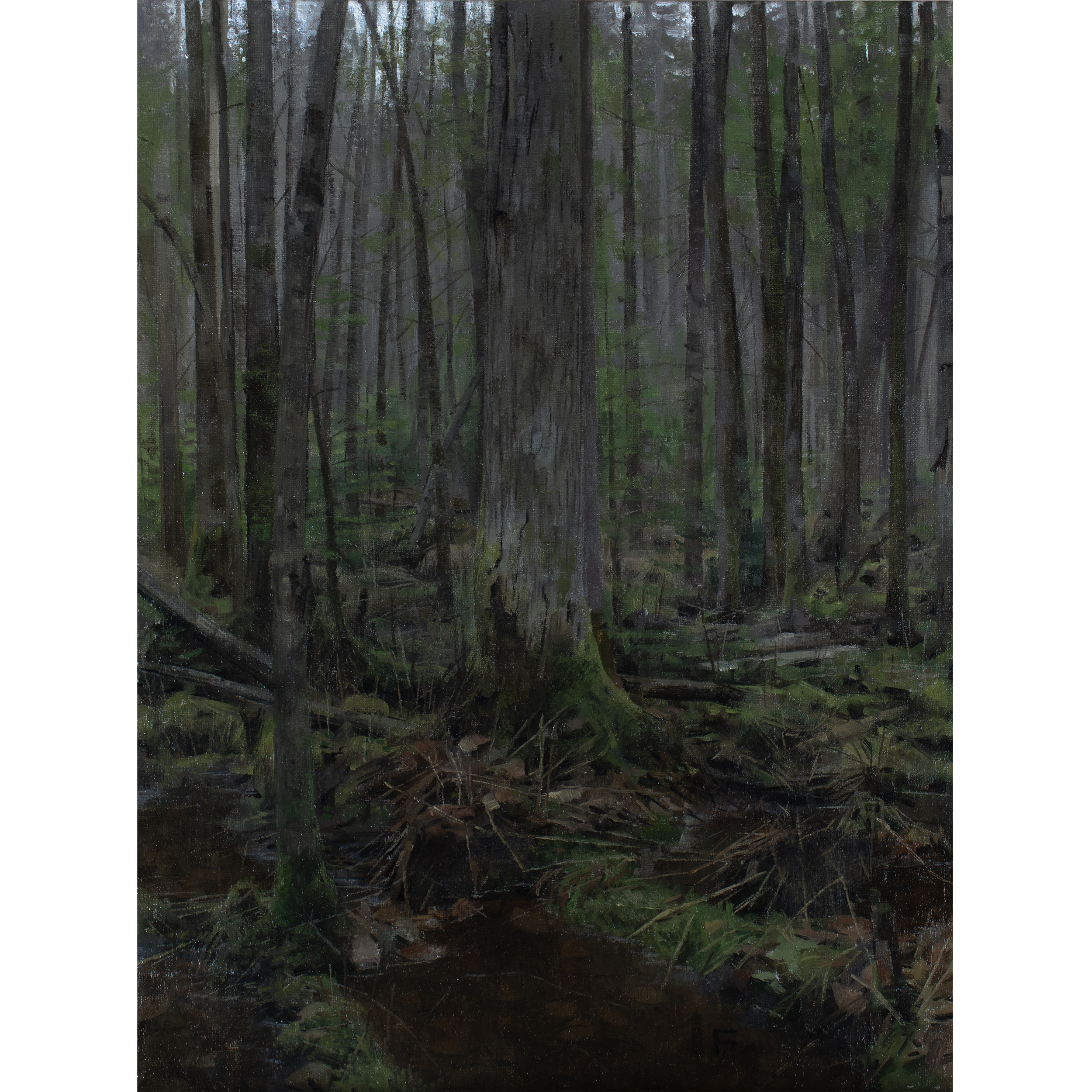 Flooded Woods (2026) by Quebec artist Fabrice Grimard. An oil painting on canvas depicting a flooded forest interior. Painted in the classical academic style.