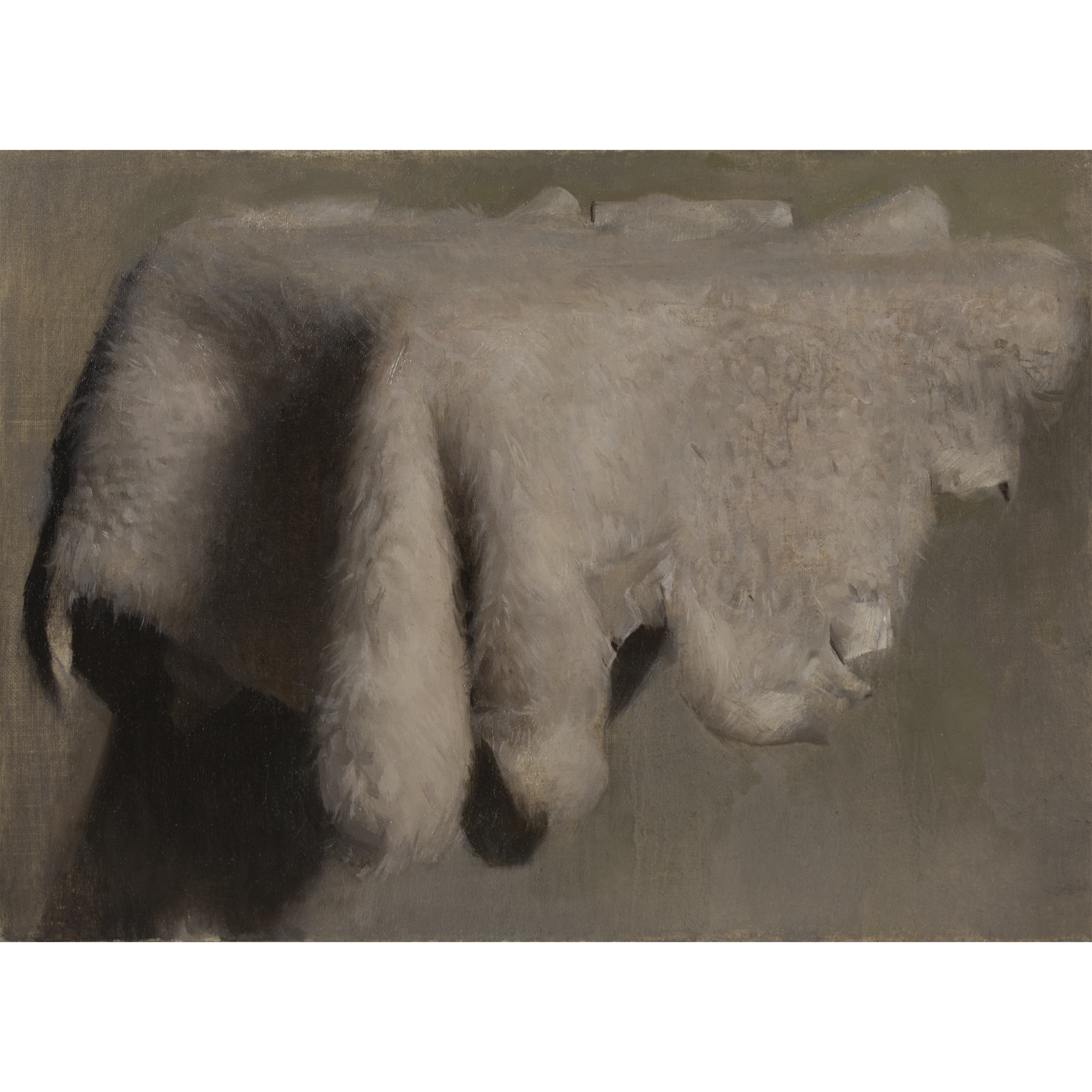 Study of Fur (2024) by Quebec artist Fabrice Grimard. An oil painting on canvas depicting a sheep's fur. Painted in the classical academic style.