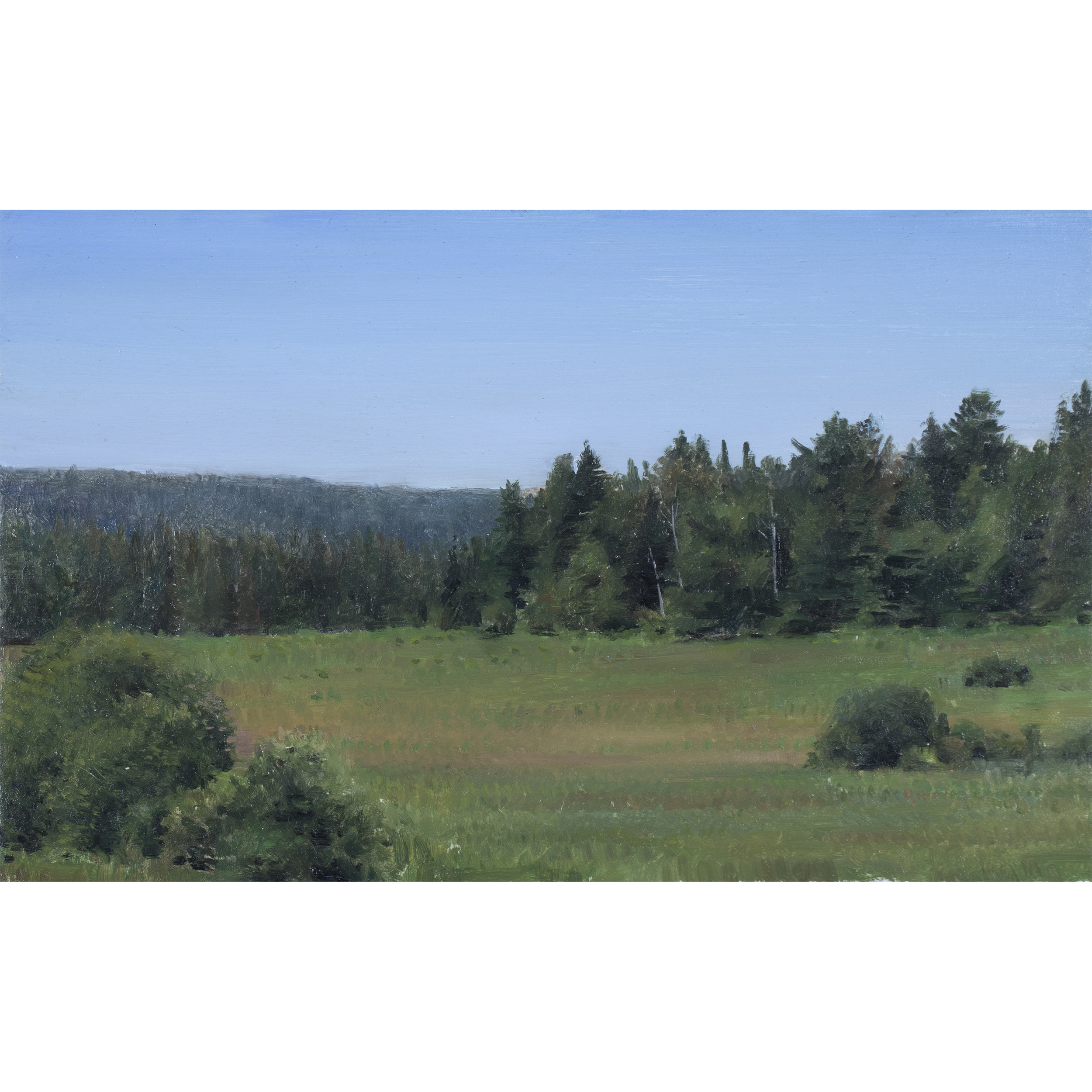 Field (2024) by Quebec artist Fabrice Grimard. An oil painting on panel depicting a field. Painted in the classical academic style.