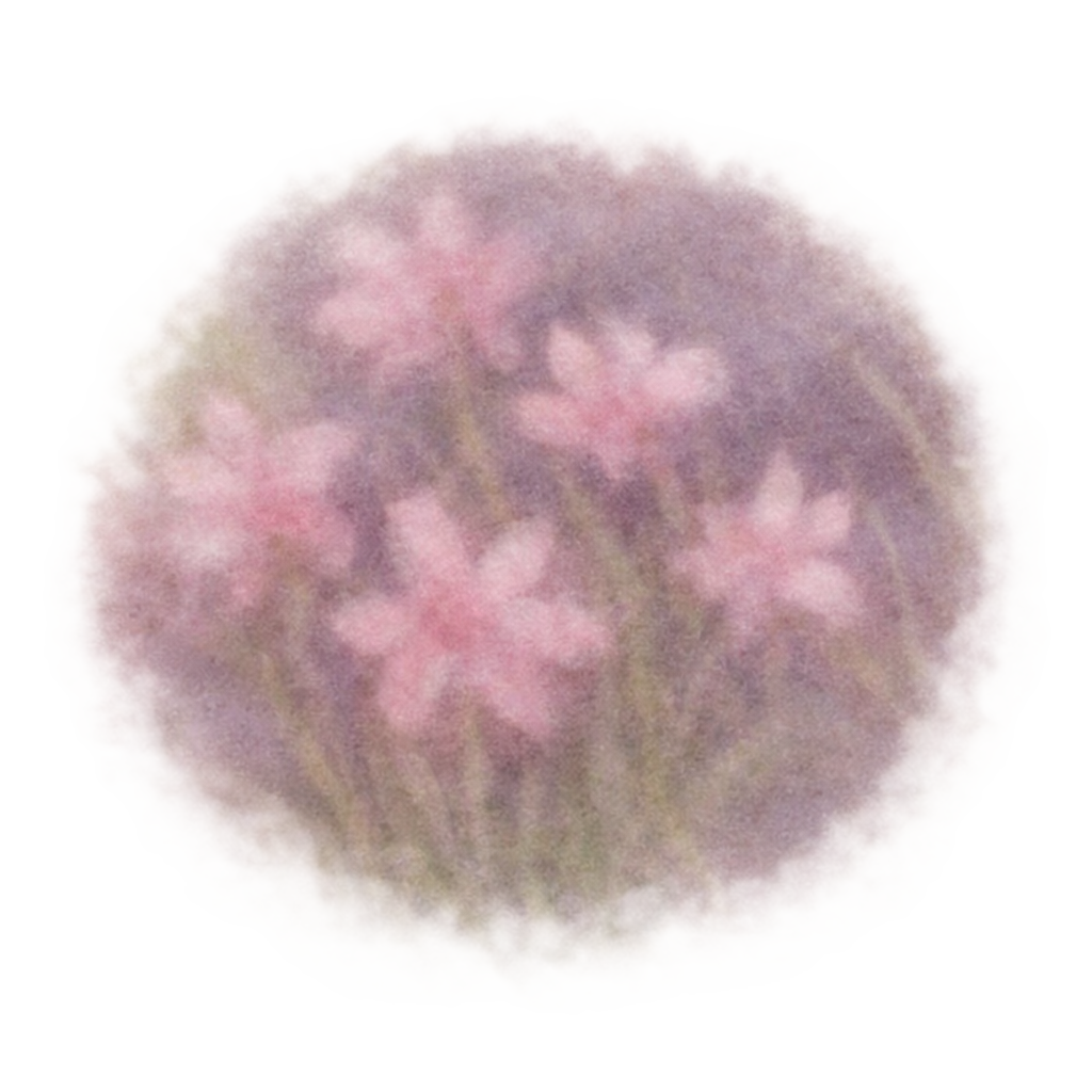 A fuzzy, soft-focus image of pink flowers with green stems, possibly a cluster of small blossoms.