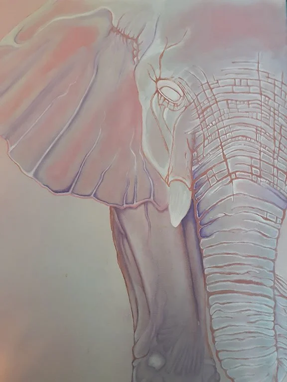 Cousin's Elephant. Oil on canvas. 2020.
