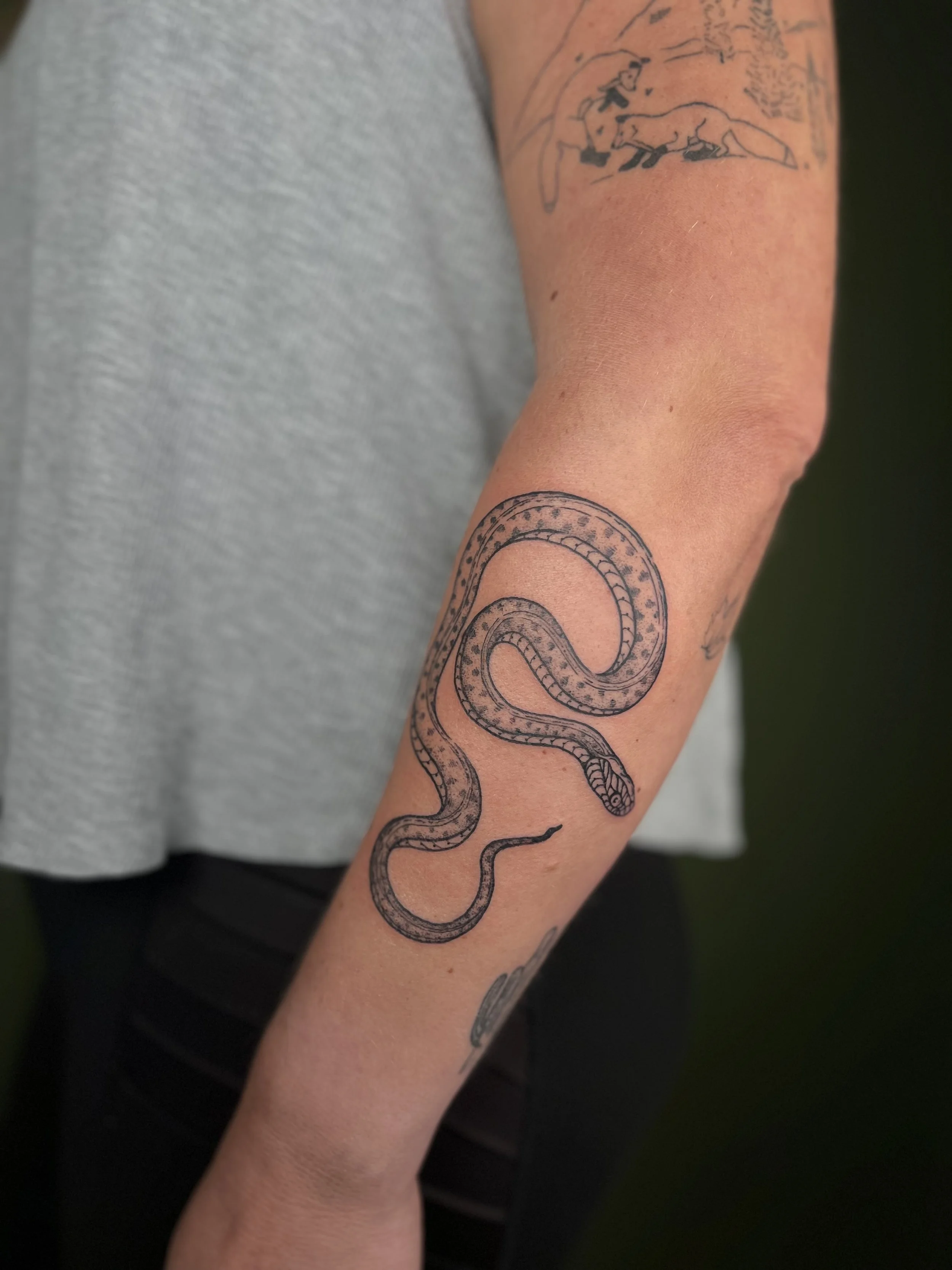 A tattoo of a snake on a person's forearm, with detailed line work.