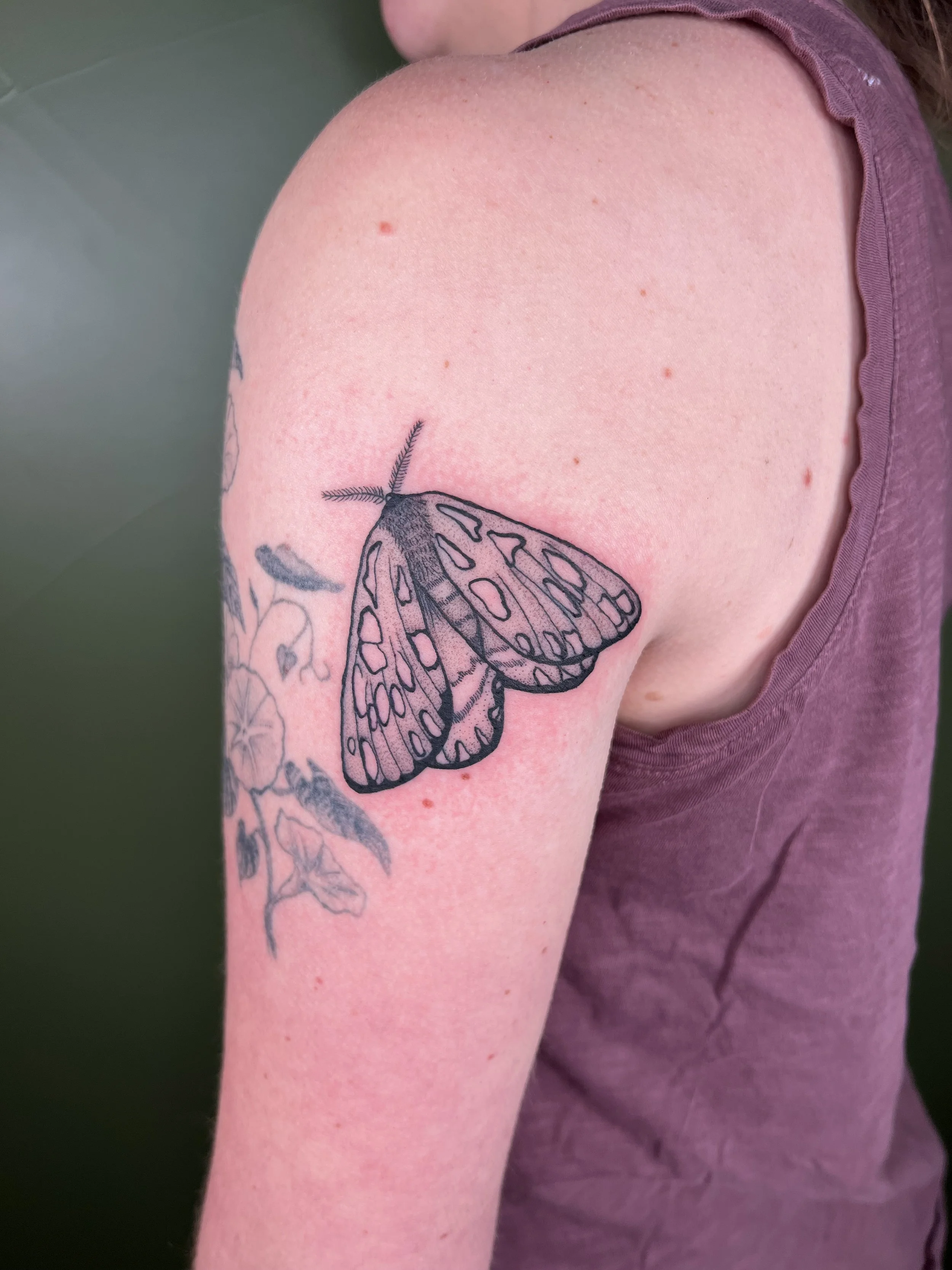 Tattoo of a butterfly with detailed wings on person's upper arm.