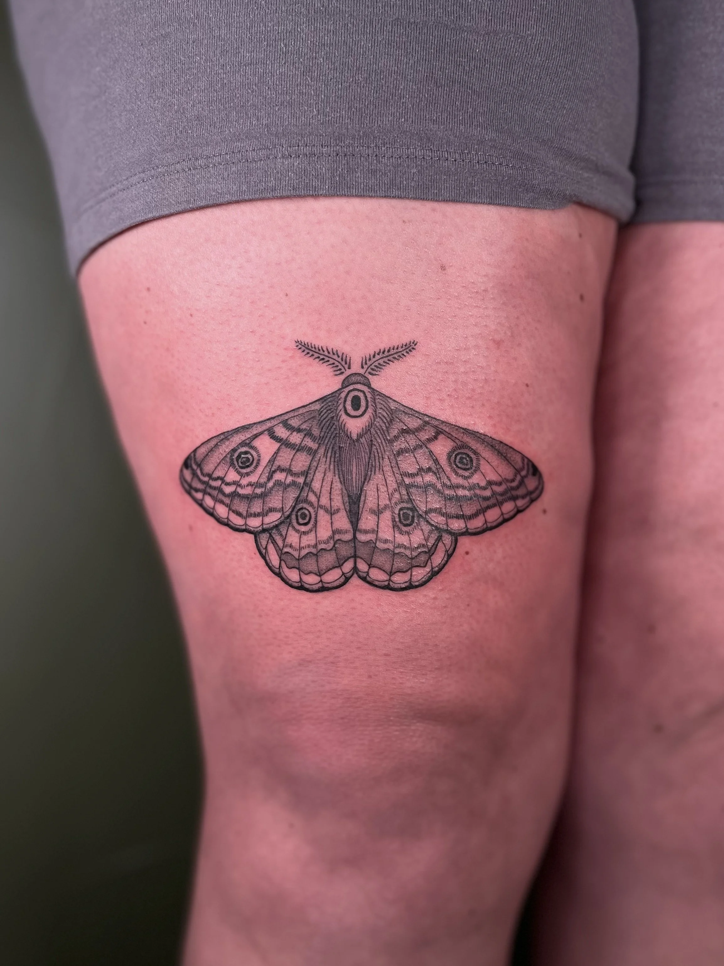 Tattoo of a moth on person's thigh.