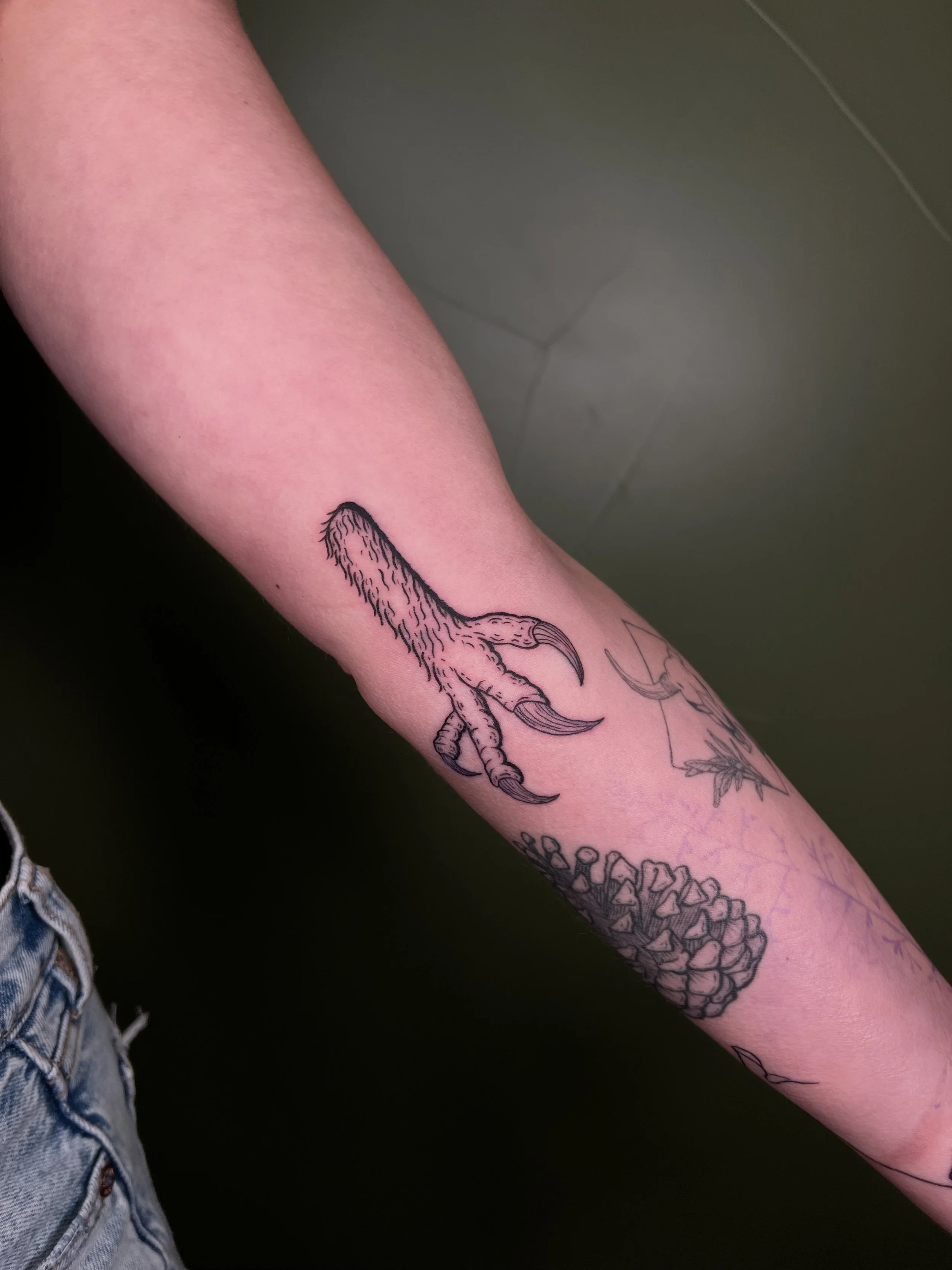 Tattoo of a bird's claw on a person's forearm.