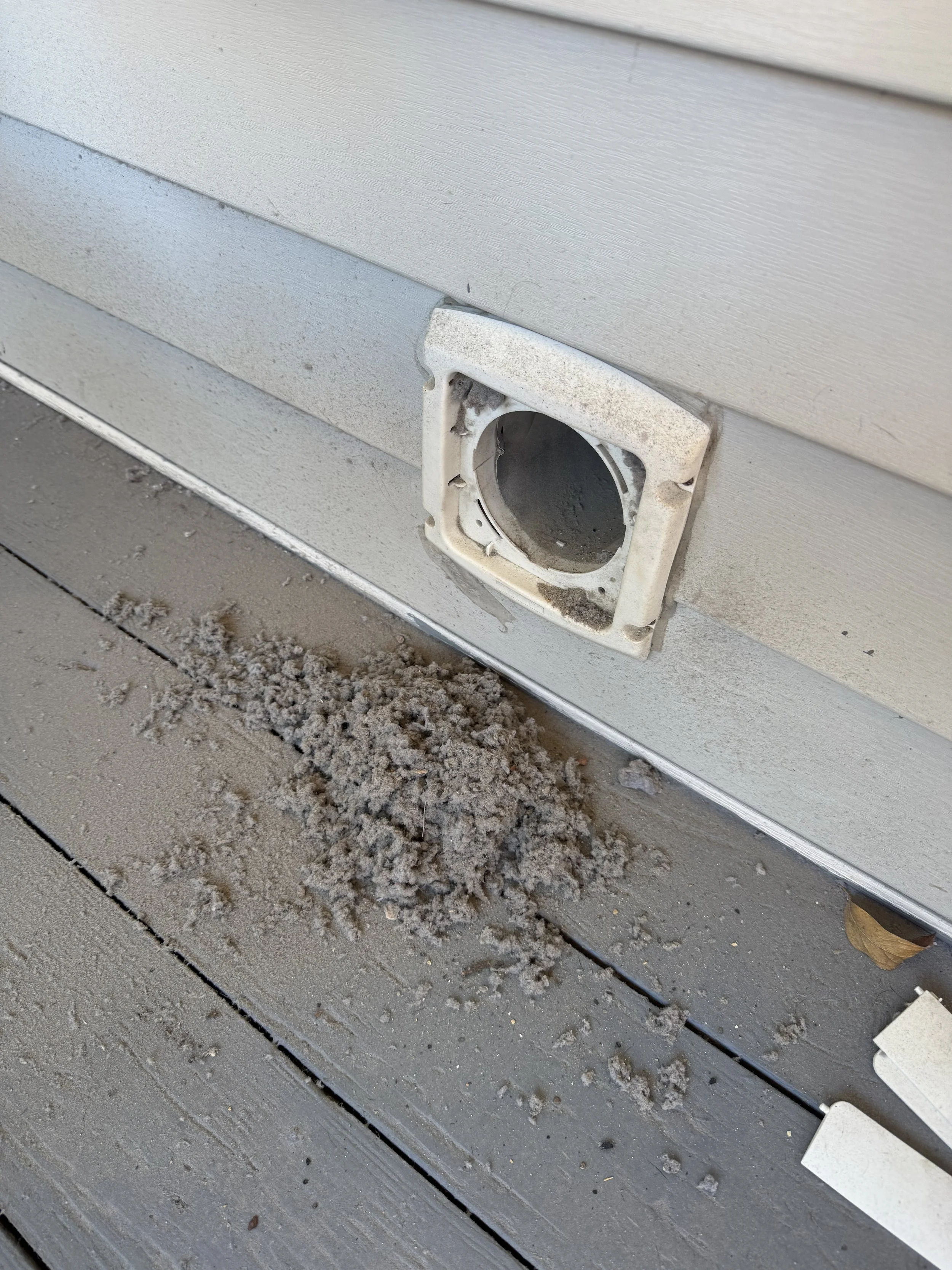 Lint that was removed from the inside of a dryer vent. 