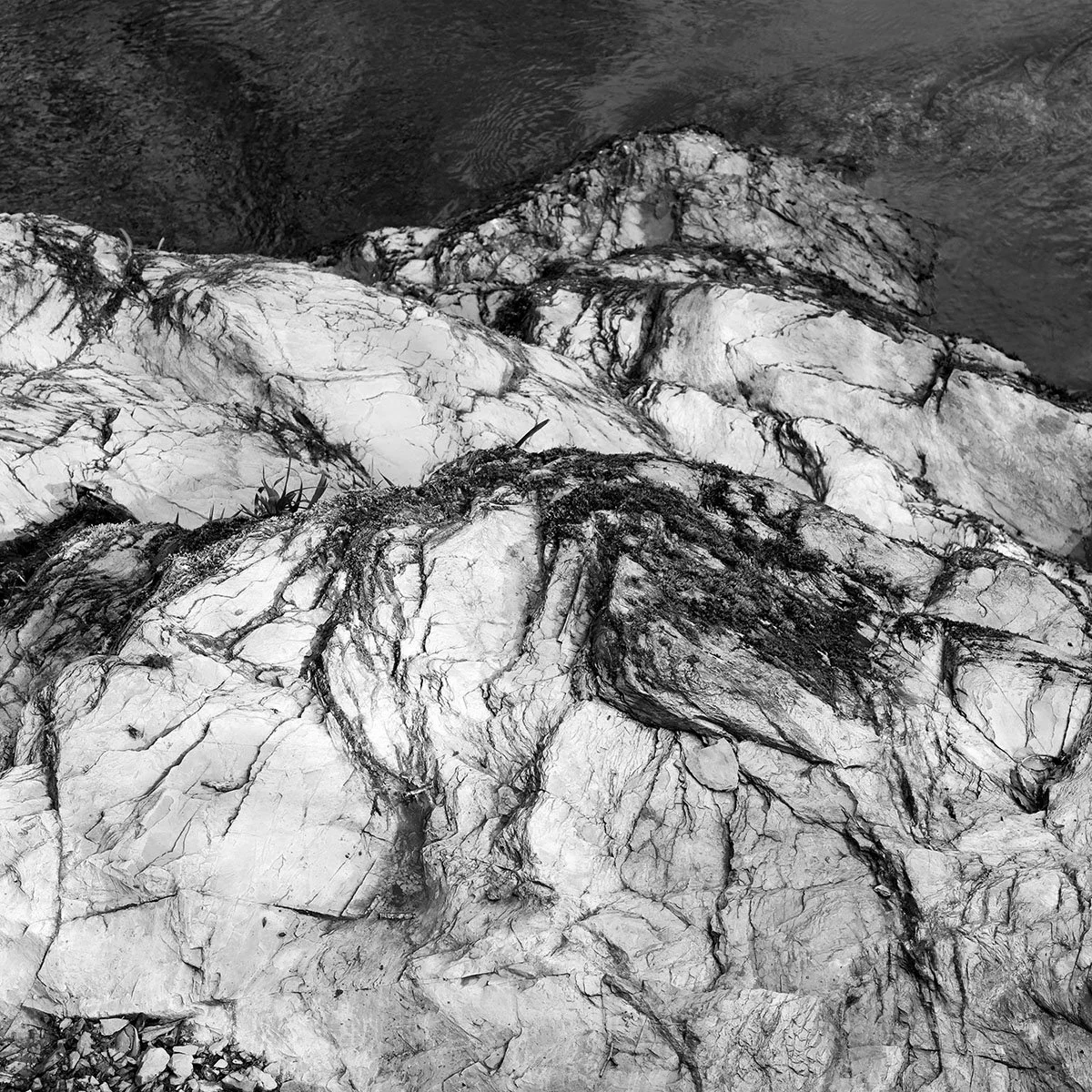 Edge of the River Tavy, Devon