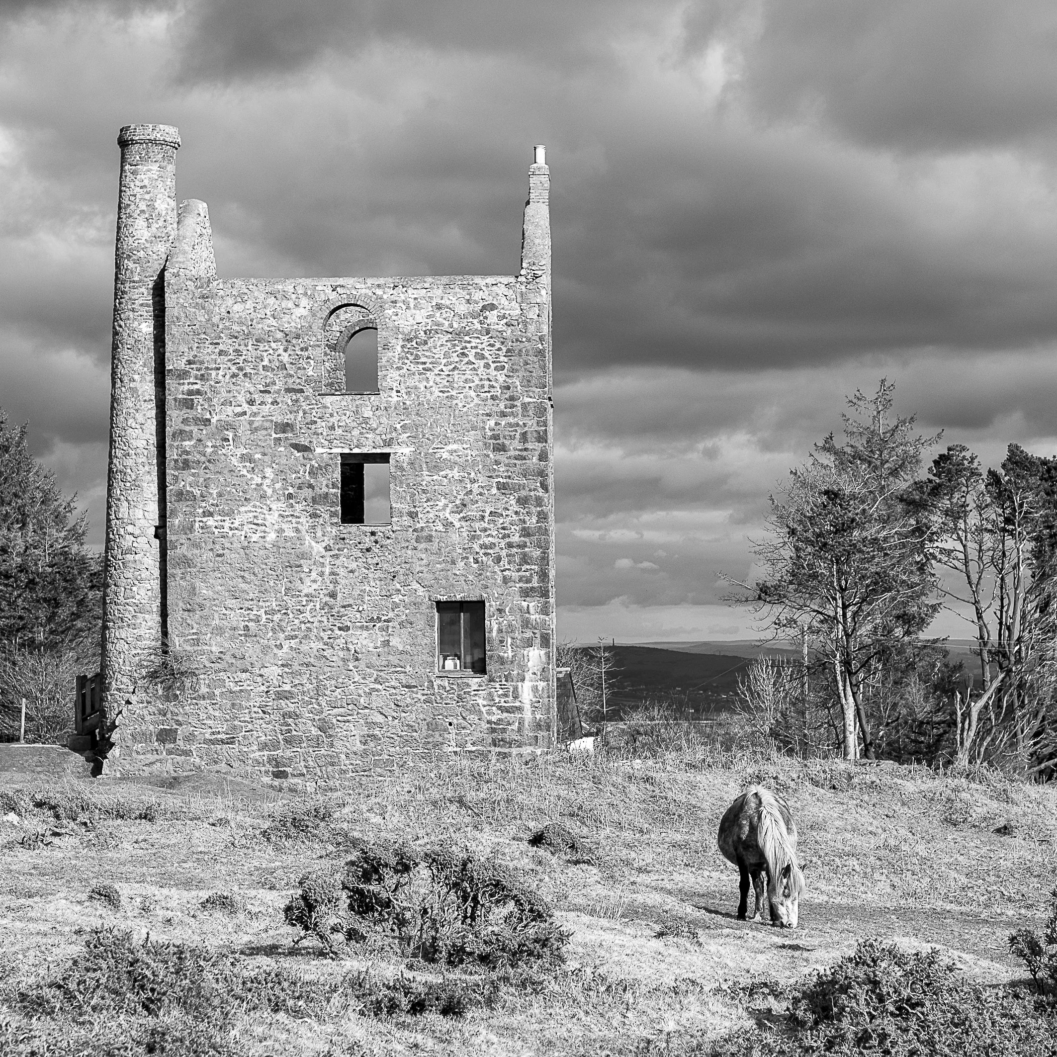 Pony II, Bodmin Moor, Cornwall