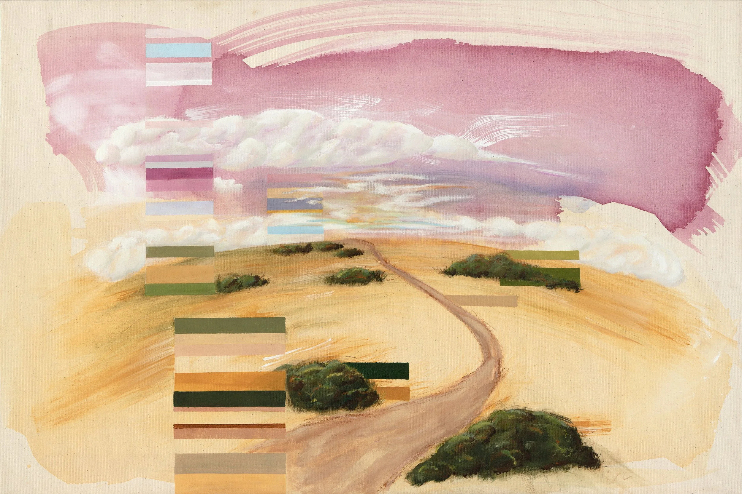 this won't happen again: Mt. Tam