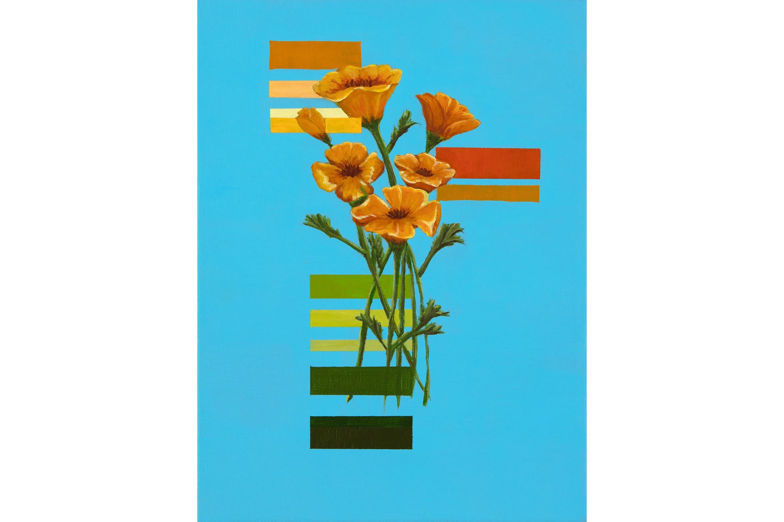 poppies on rgb(83, 171, 206)