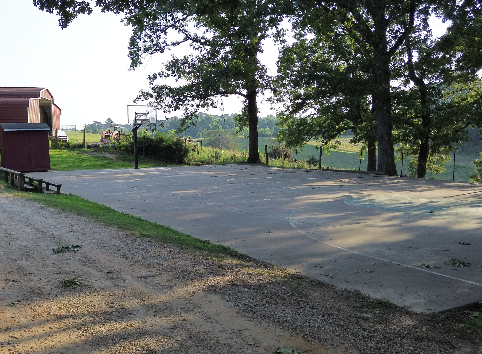 Basketball Court Activities and Nature Scavenger Hunt (June 11th)