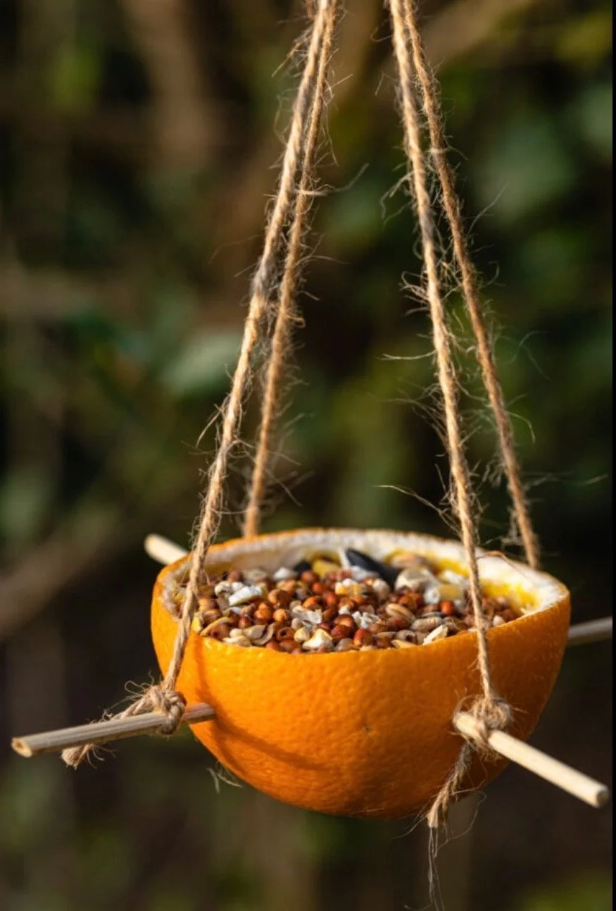 Bird Feeders and Flowers (June 4th)