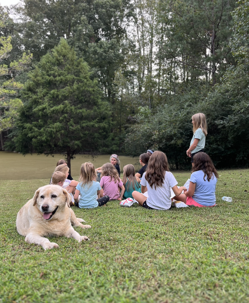 Homeschool Recreation (May)